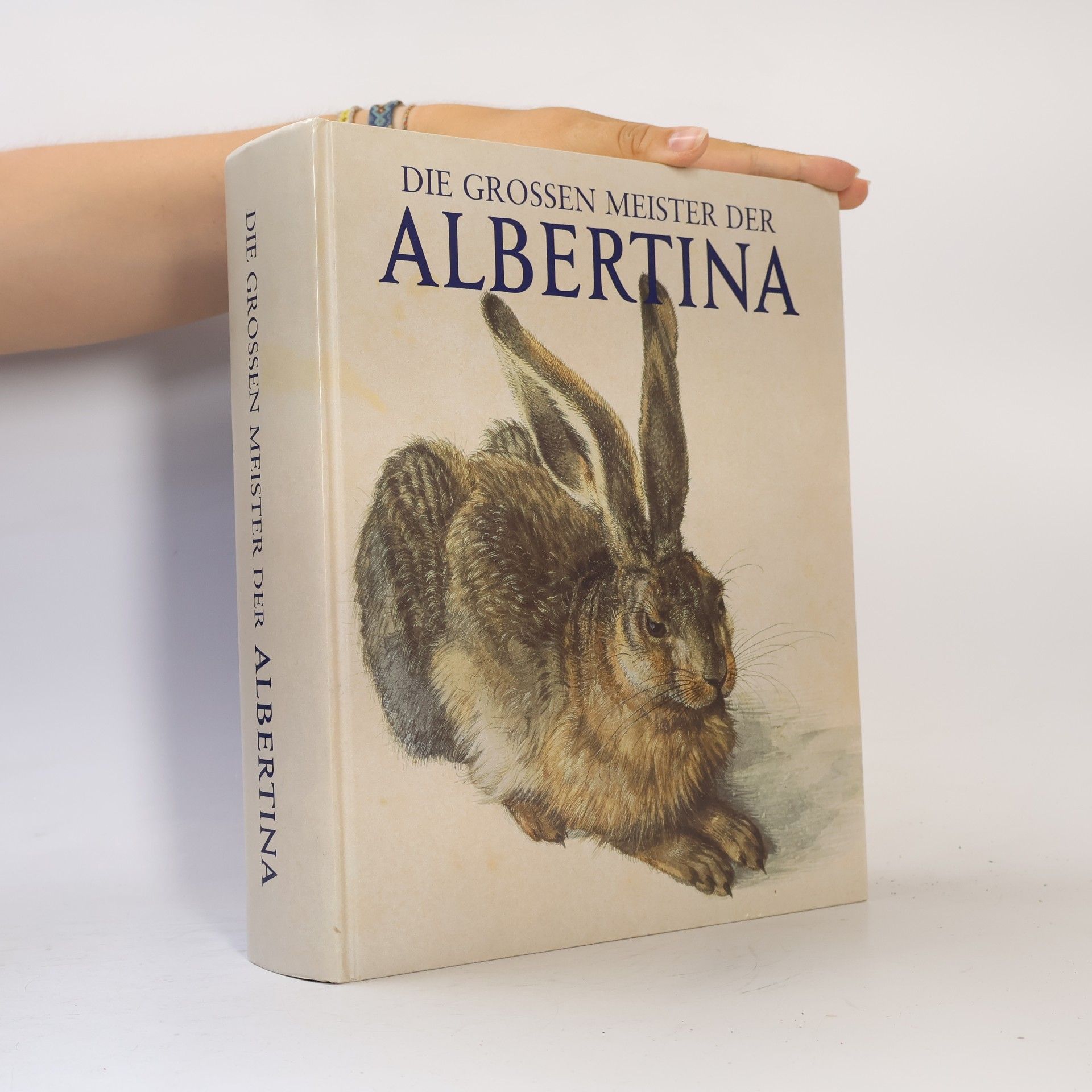 Die grossen Meister der Albertina