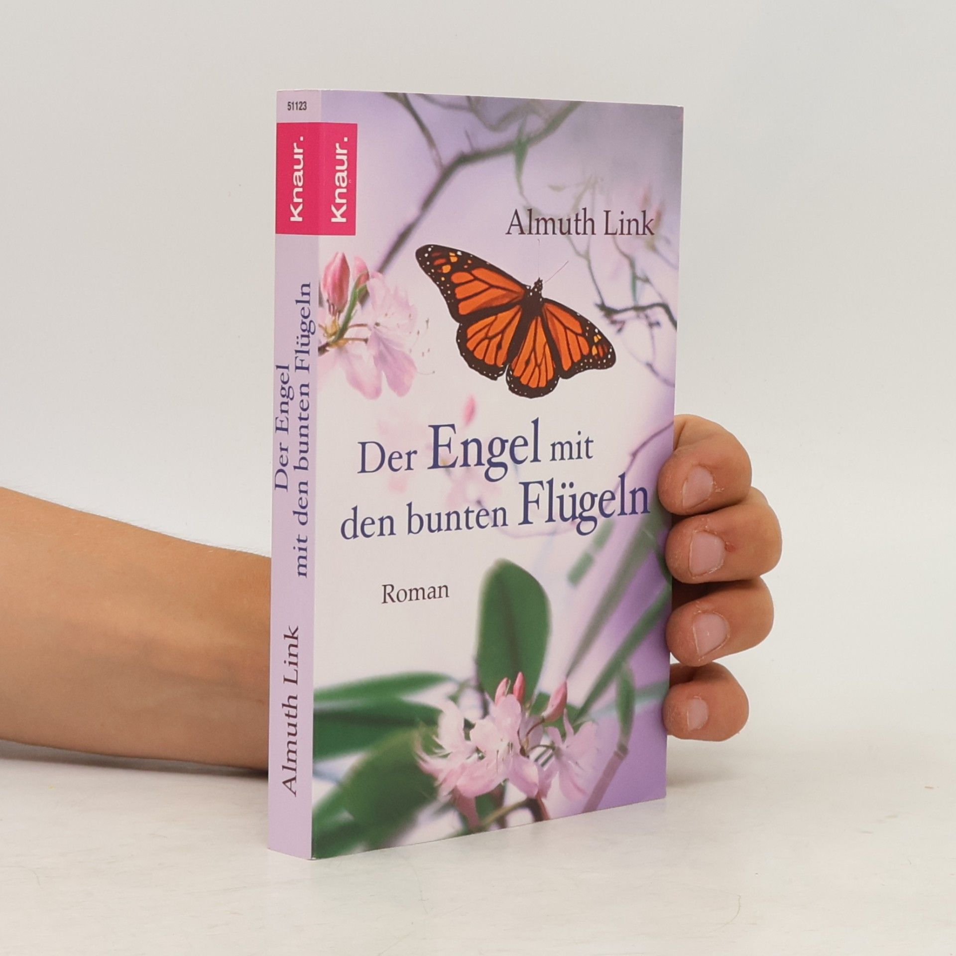 Almuth Link Der Engel mit den bunten Flügeln