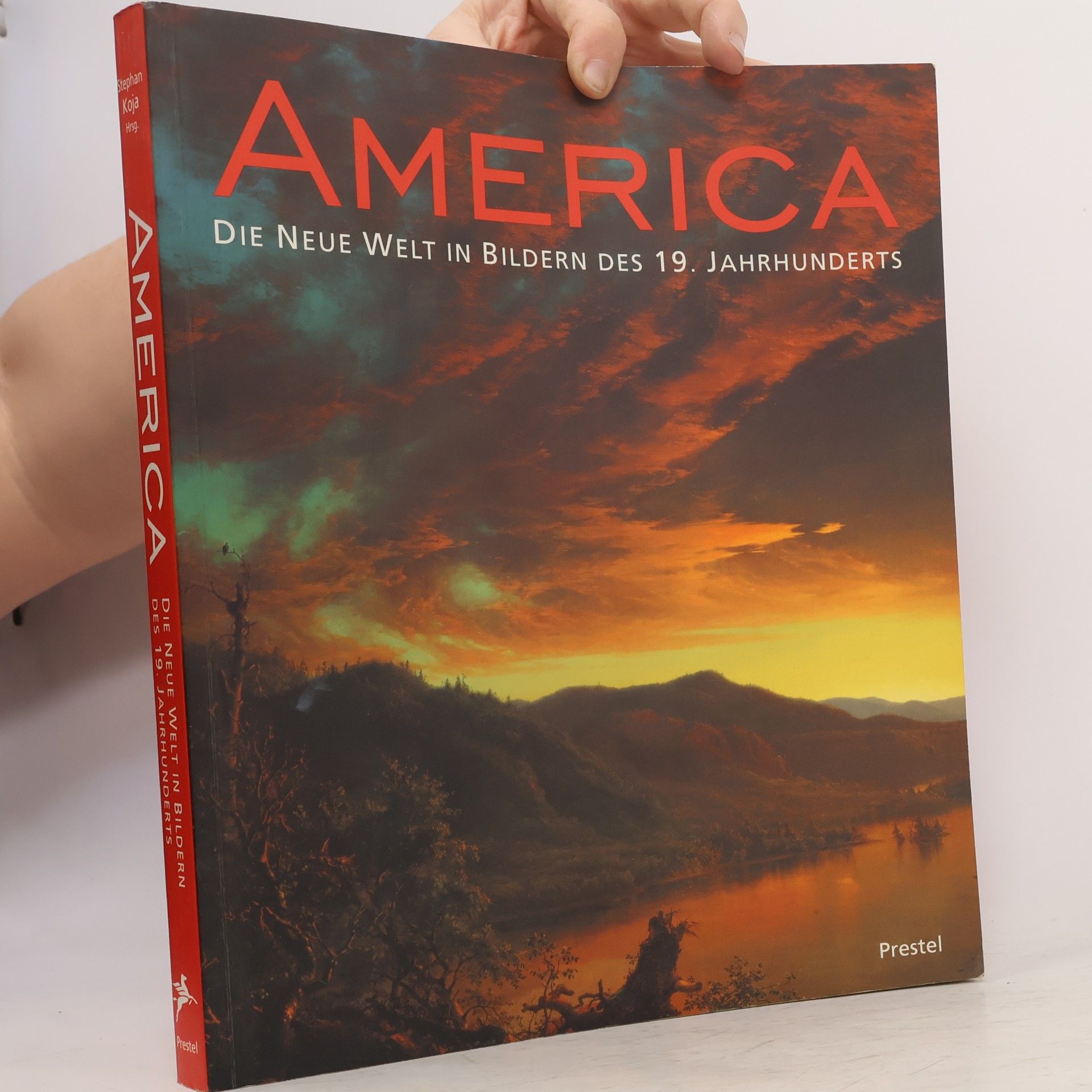 Stephan Koja America