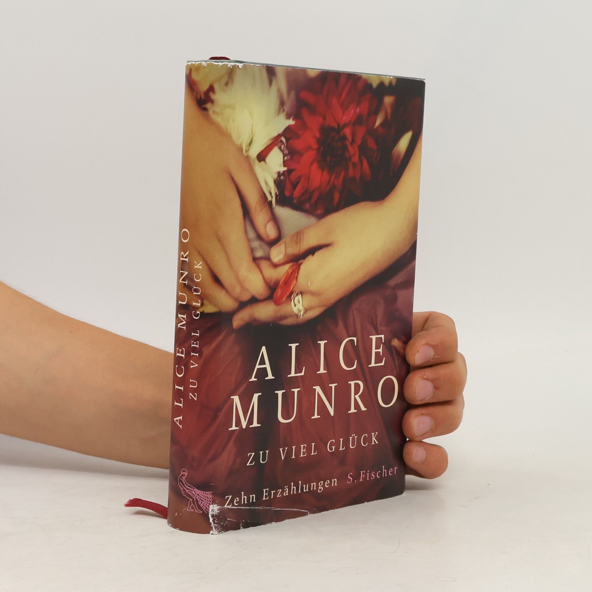 Alice Munro Zu viel Glück