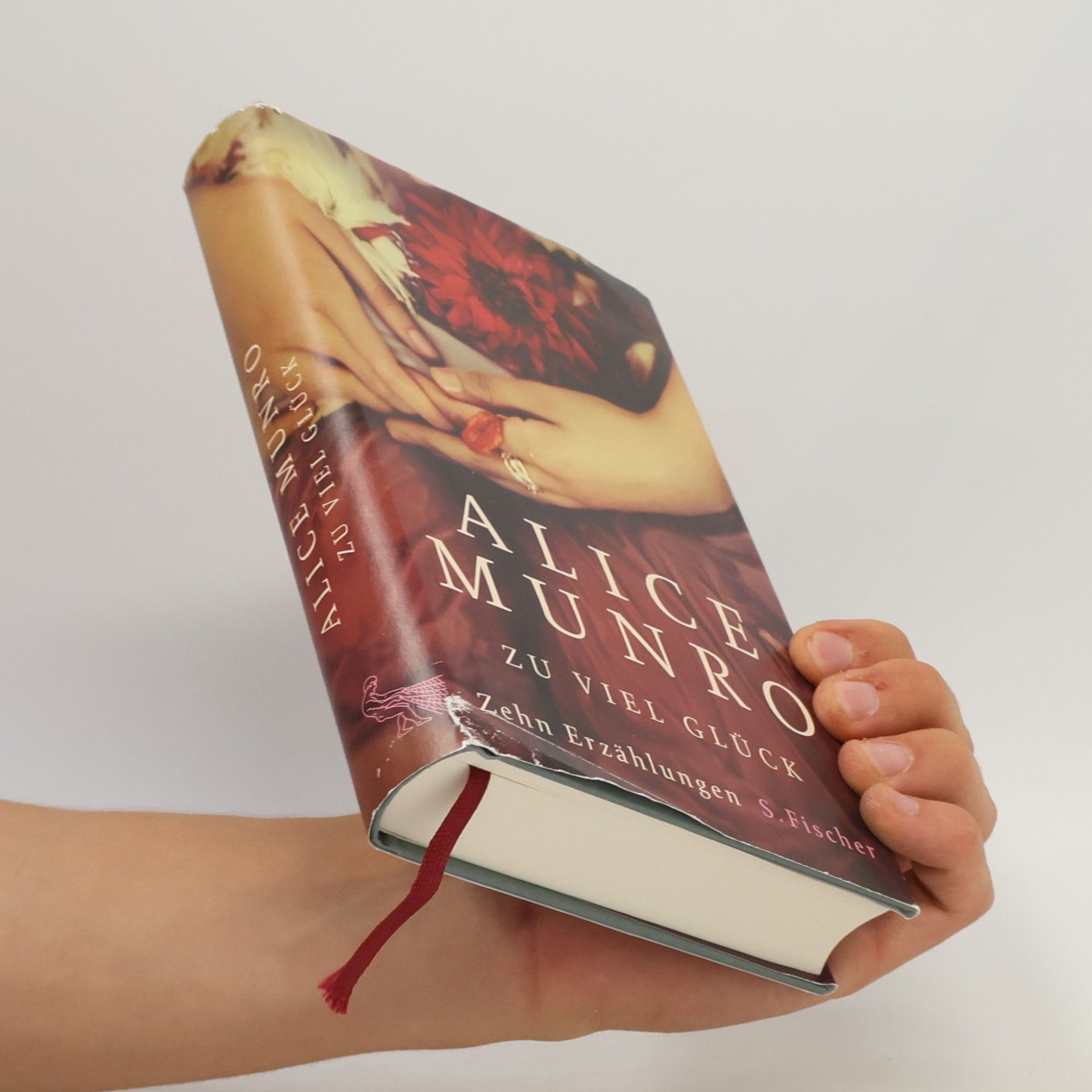Alice Munro Zu viel Glück