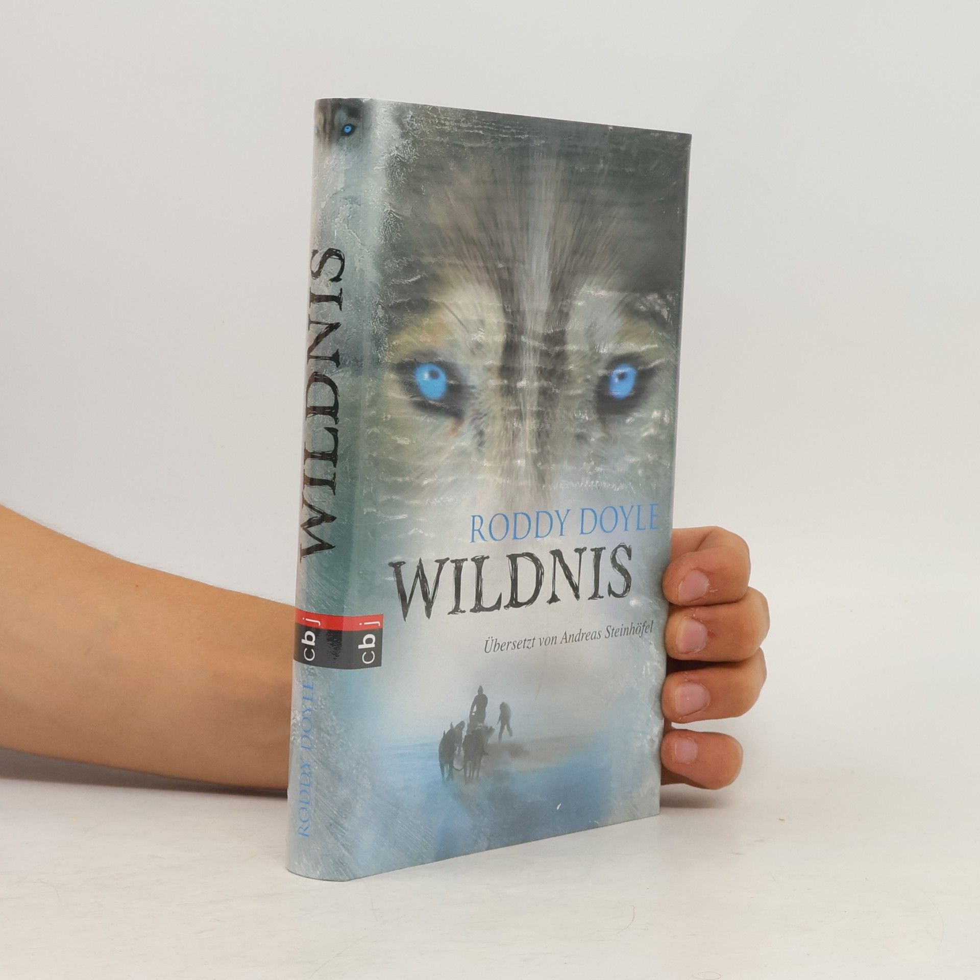 Roddy Doyle Wildnis