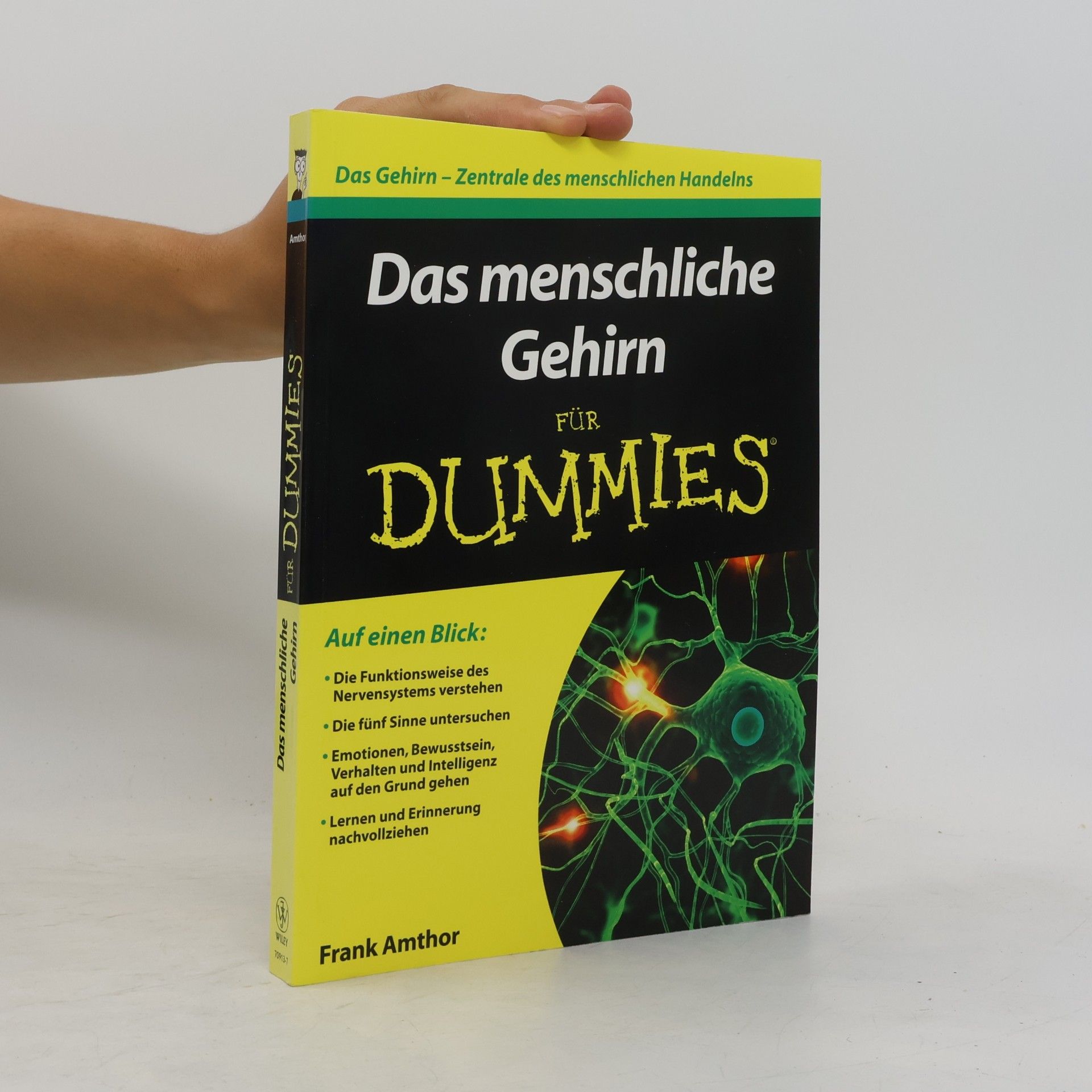 Frank Amthor Das menschliche Gehirn für Dummies
