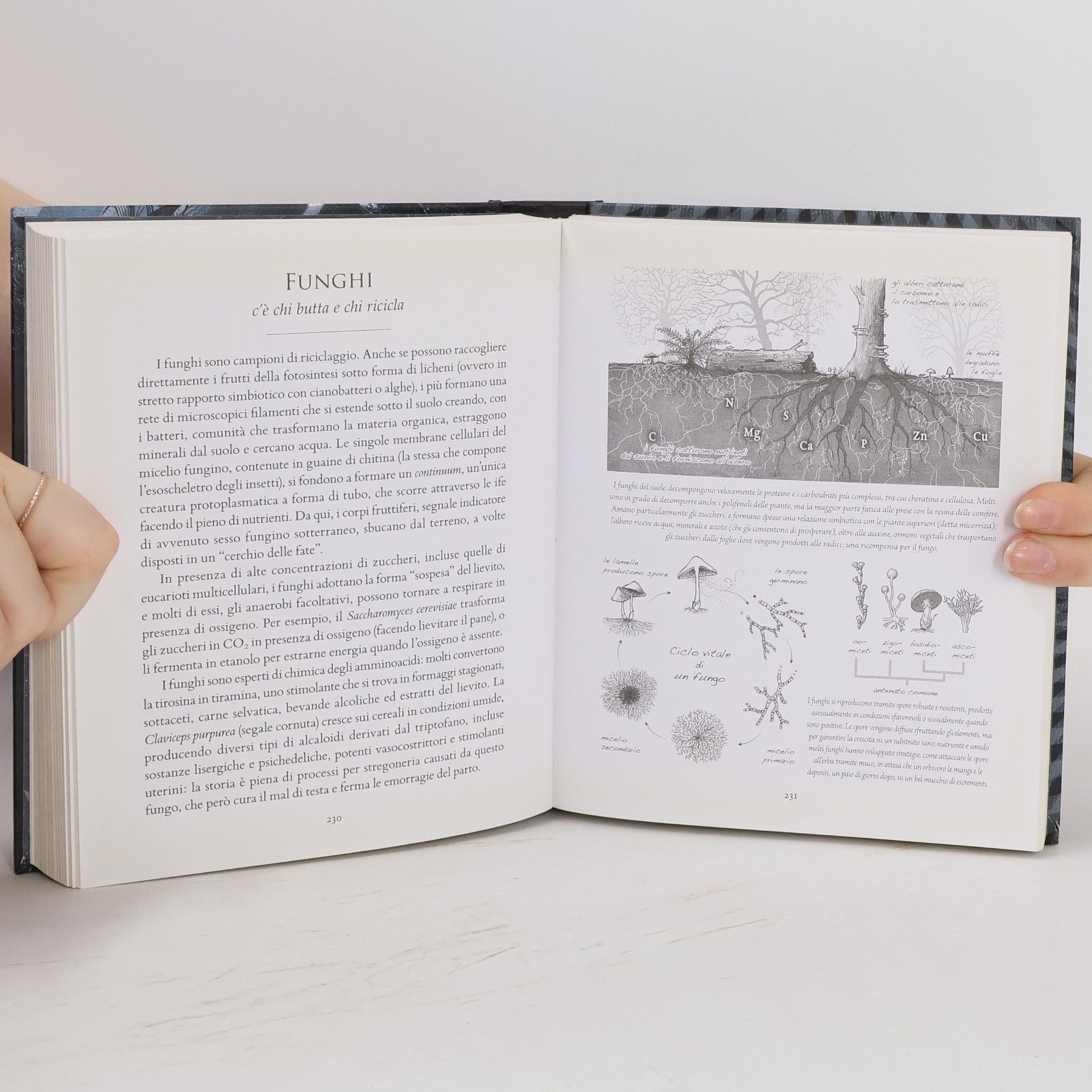 J. Martineau Scientia. Matematica, fisica, chimica, biologia e astronomia