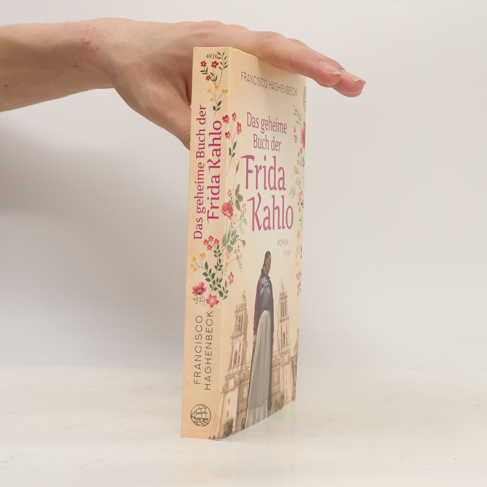 Francisco Haghenbeck Das geheime Buch der Frida Kahlo