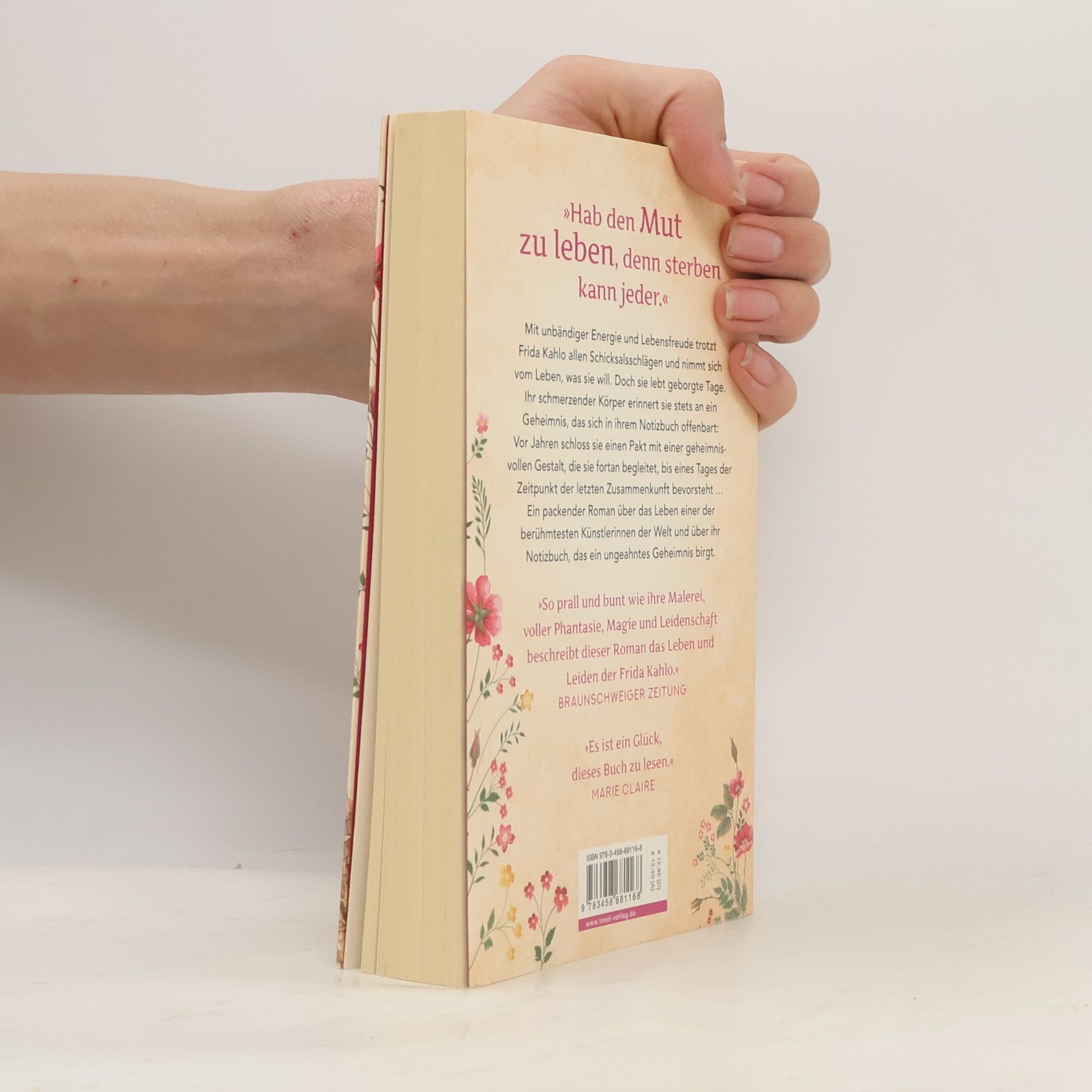 Francisco Haghenbeck Das geheime Buch der Frida Kahlo