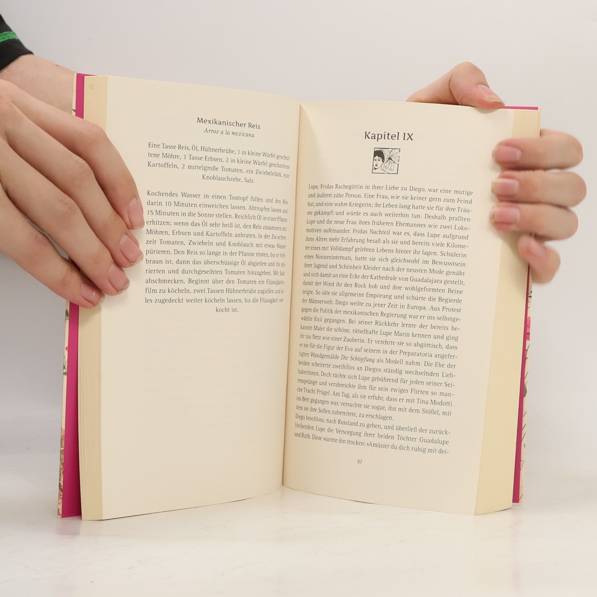 Francisco Haghenbeck Das geheime Buch der Frida Kahlo