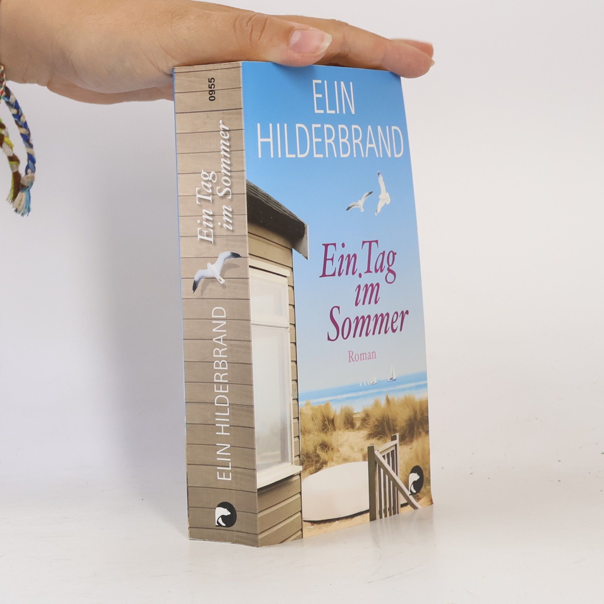 Elin Hilderbrand Ein Tag im Sommer