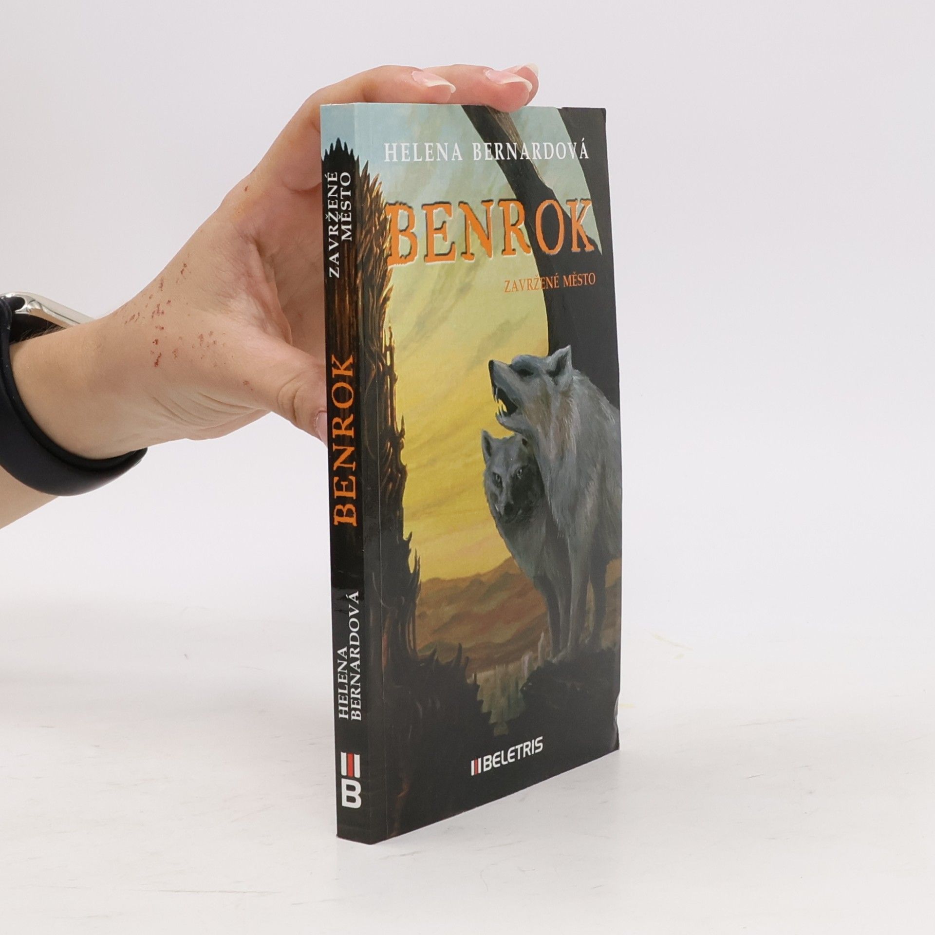 Helena Bernardová Benrok - Zavržené město