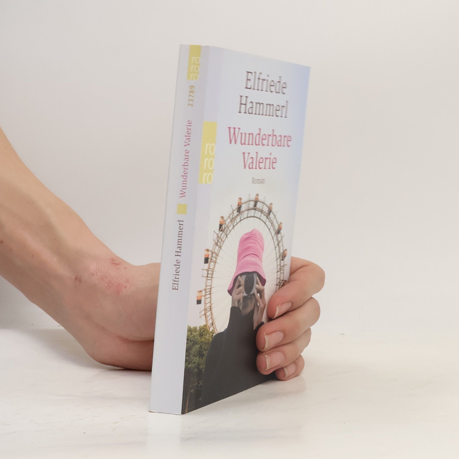 Elfriede Hammerl Wunderbare Valerie : Roman