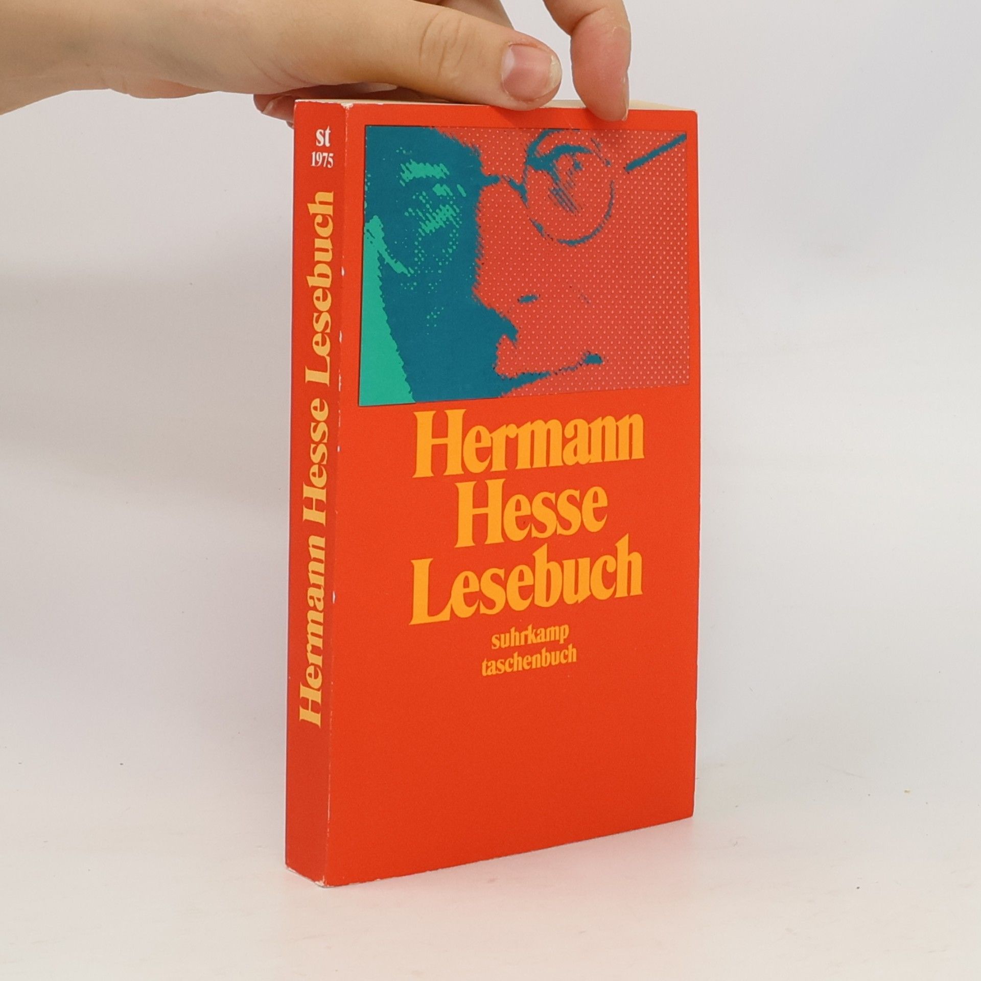 Hermann Hesse Lesebuch