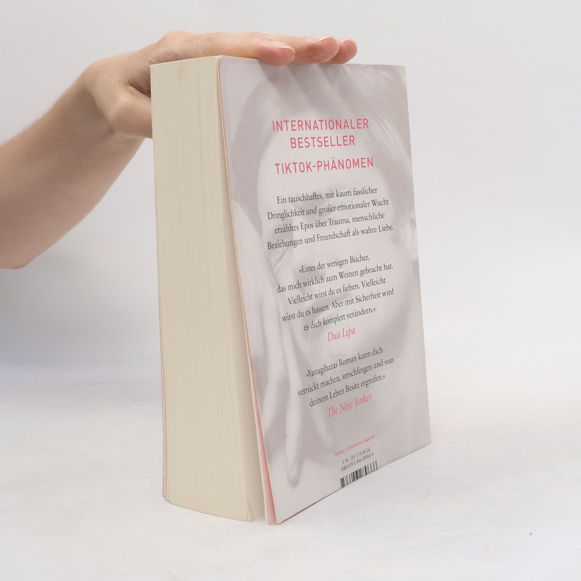 Hanya Yanagihara Ein wenig Leben: Roman