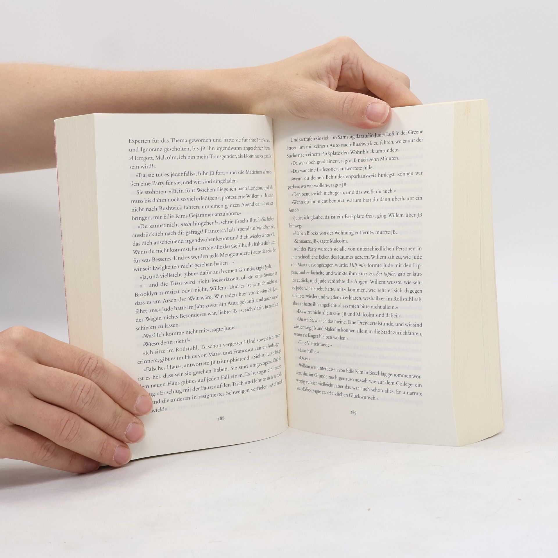 Hanya Yanagihara Ein wenig Leben: Roman