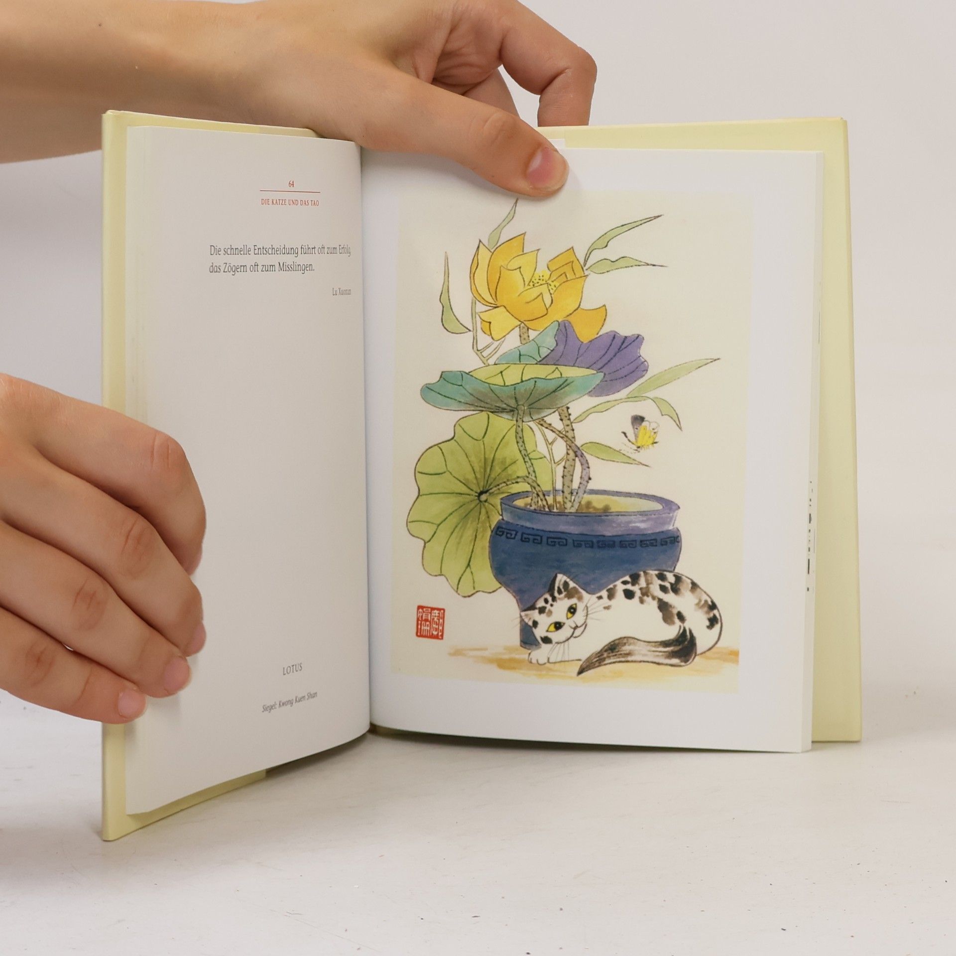 Kuen Shan Kwong Die Katze und das Tao