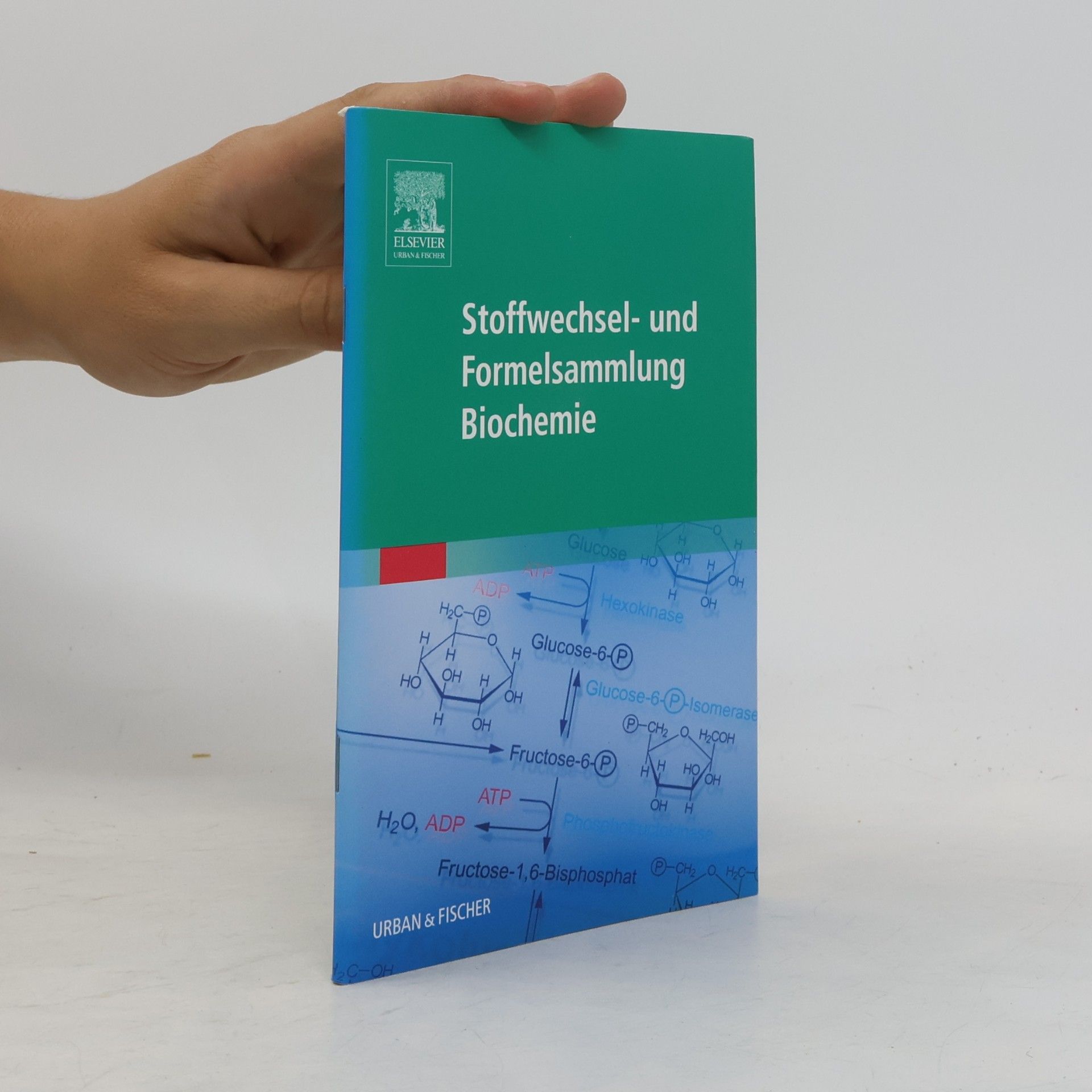 Various authors Stoffwechsel- und Formelsammlung Biochemie