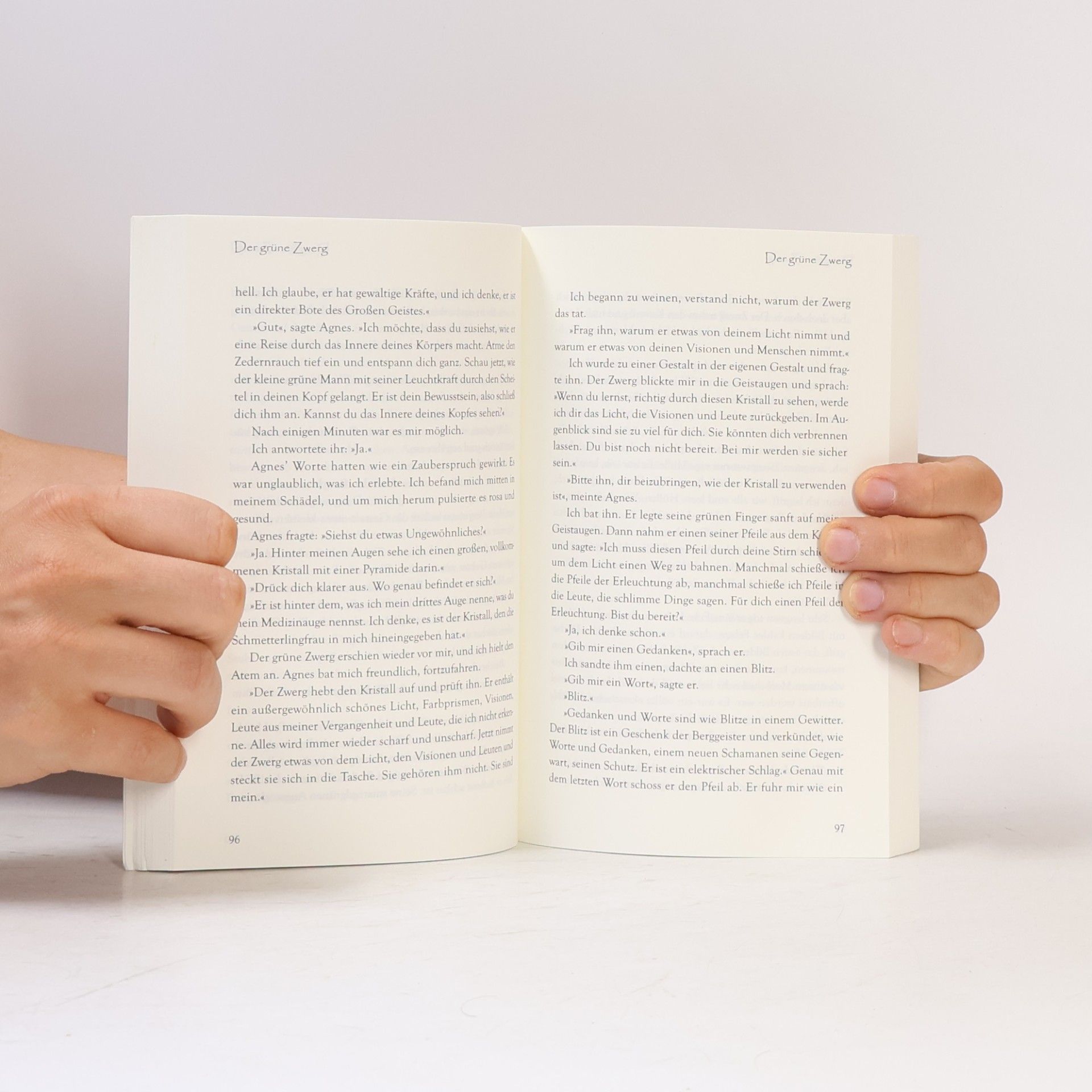 Lynn V. Andrews Die Jaguarfrau und die Lehren des Schmetterlingsbaumes