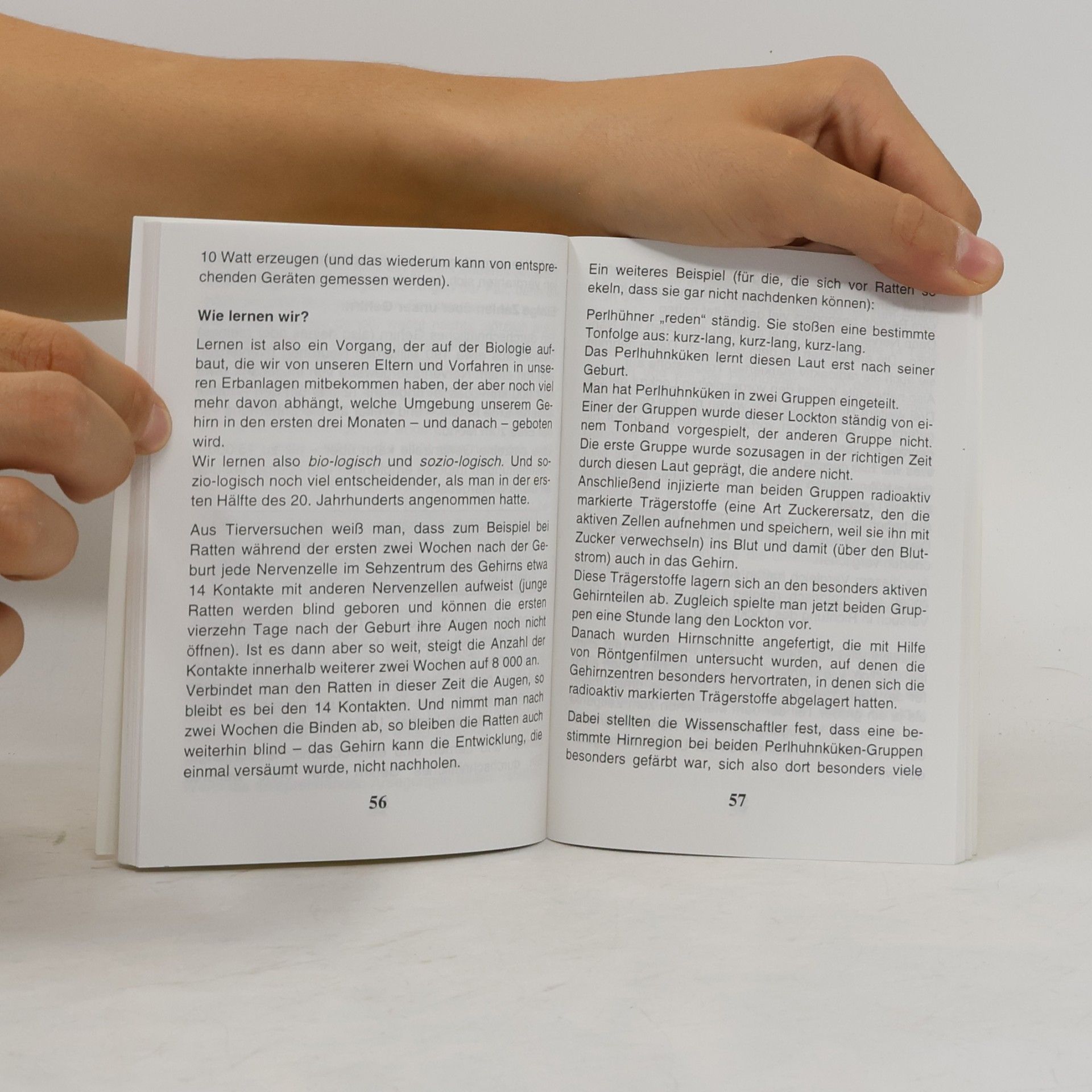 Peter Fenske Das kleine Buch vom Lernen
