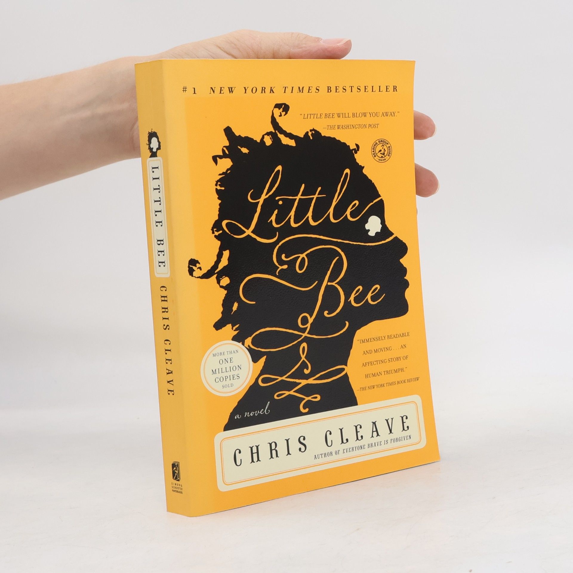 Chris Cleave Little Bee