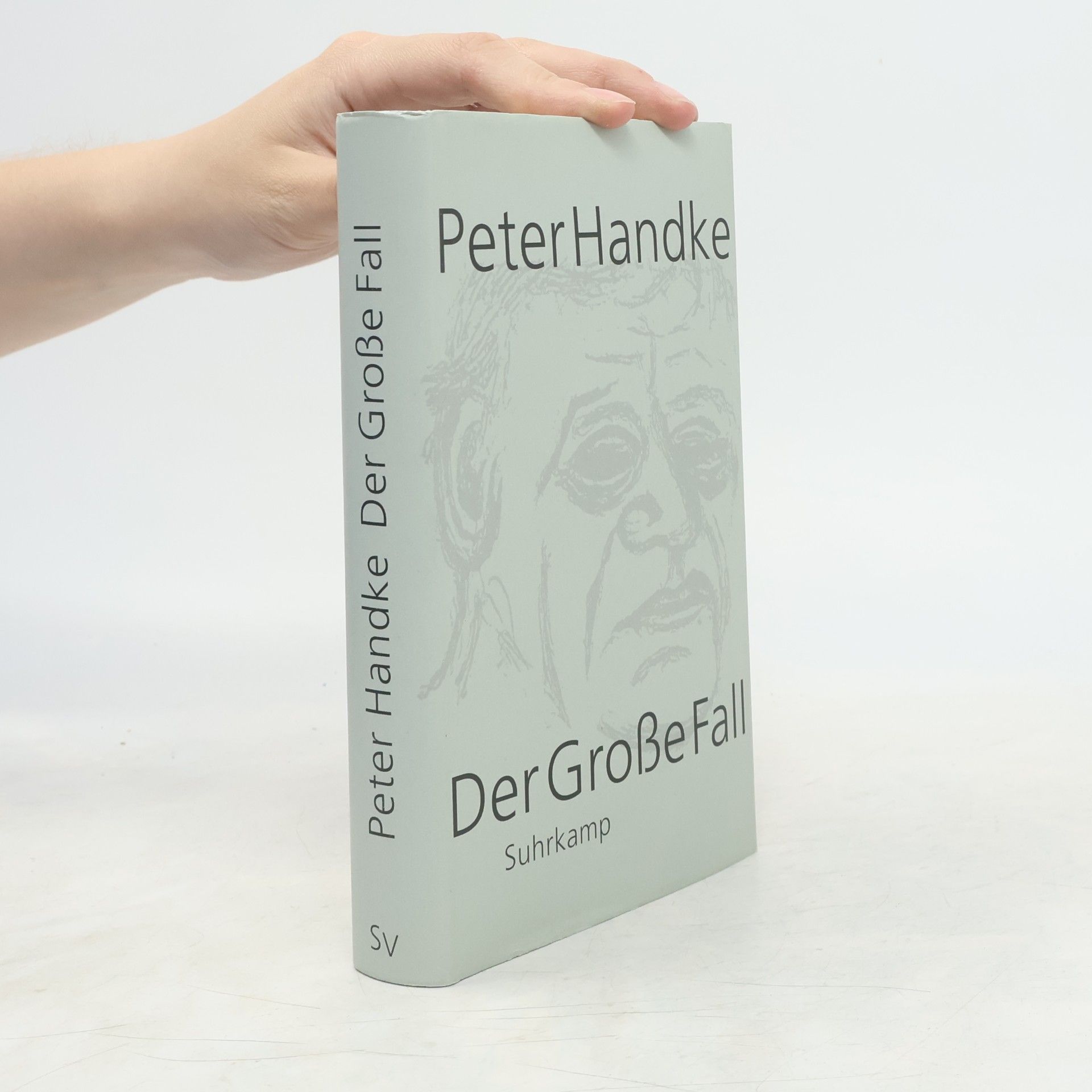 Peter Handke Der Grosse Fall