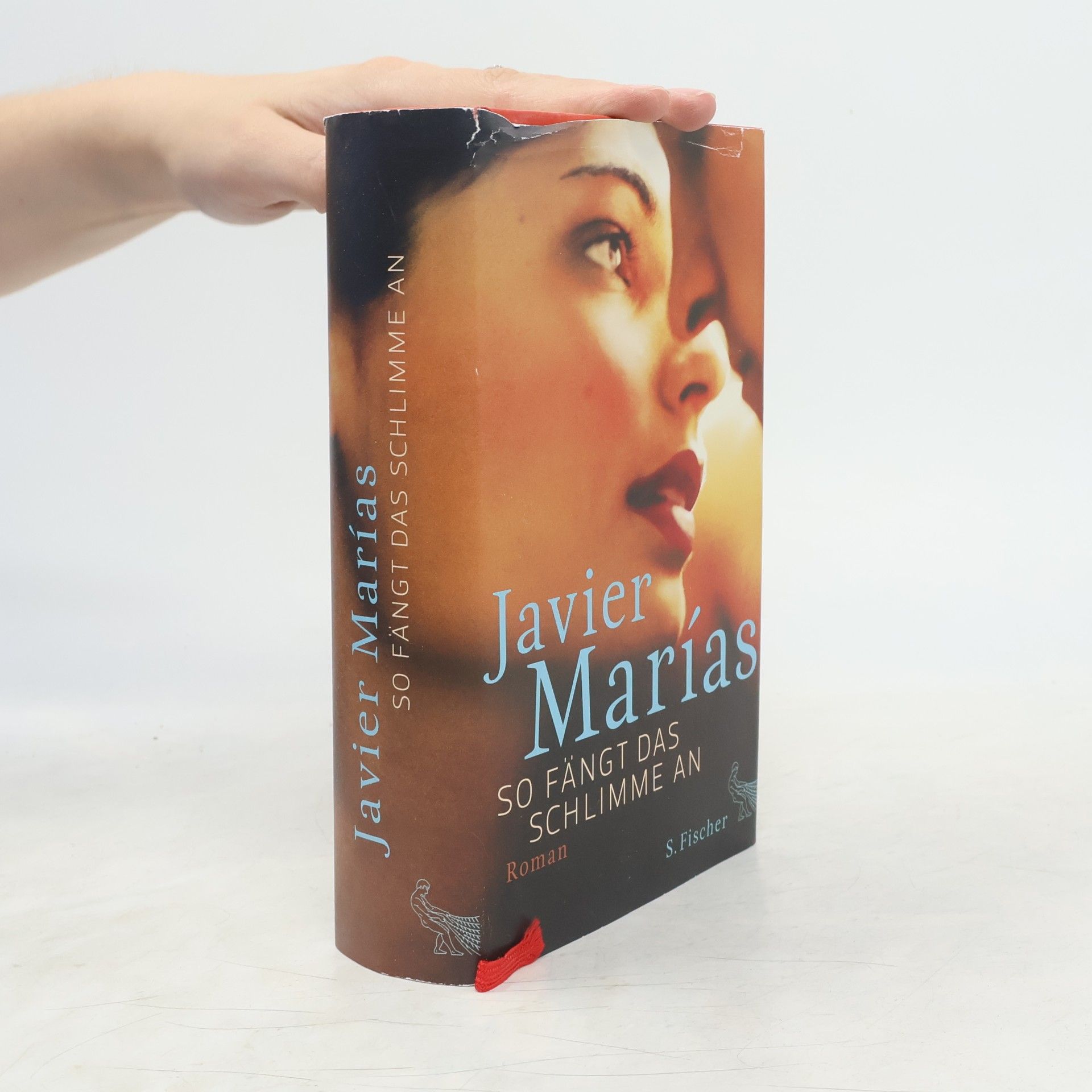 Javier Marías So fängt das Schlimme an