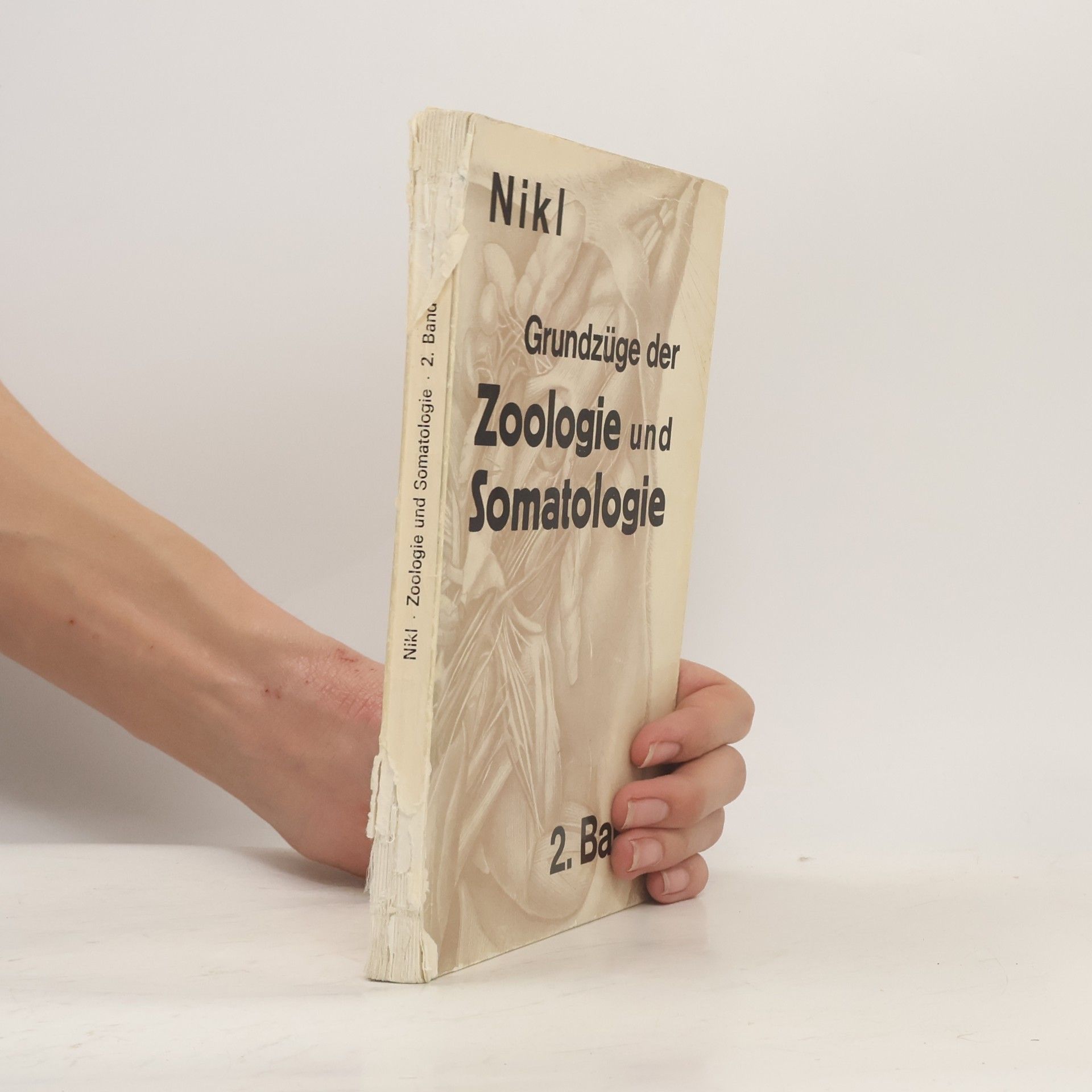 Grundzüge der Zoologie und Somatologie 2.Band