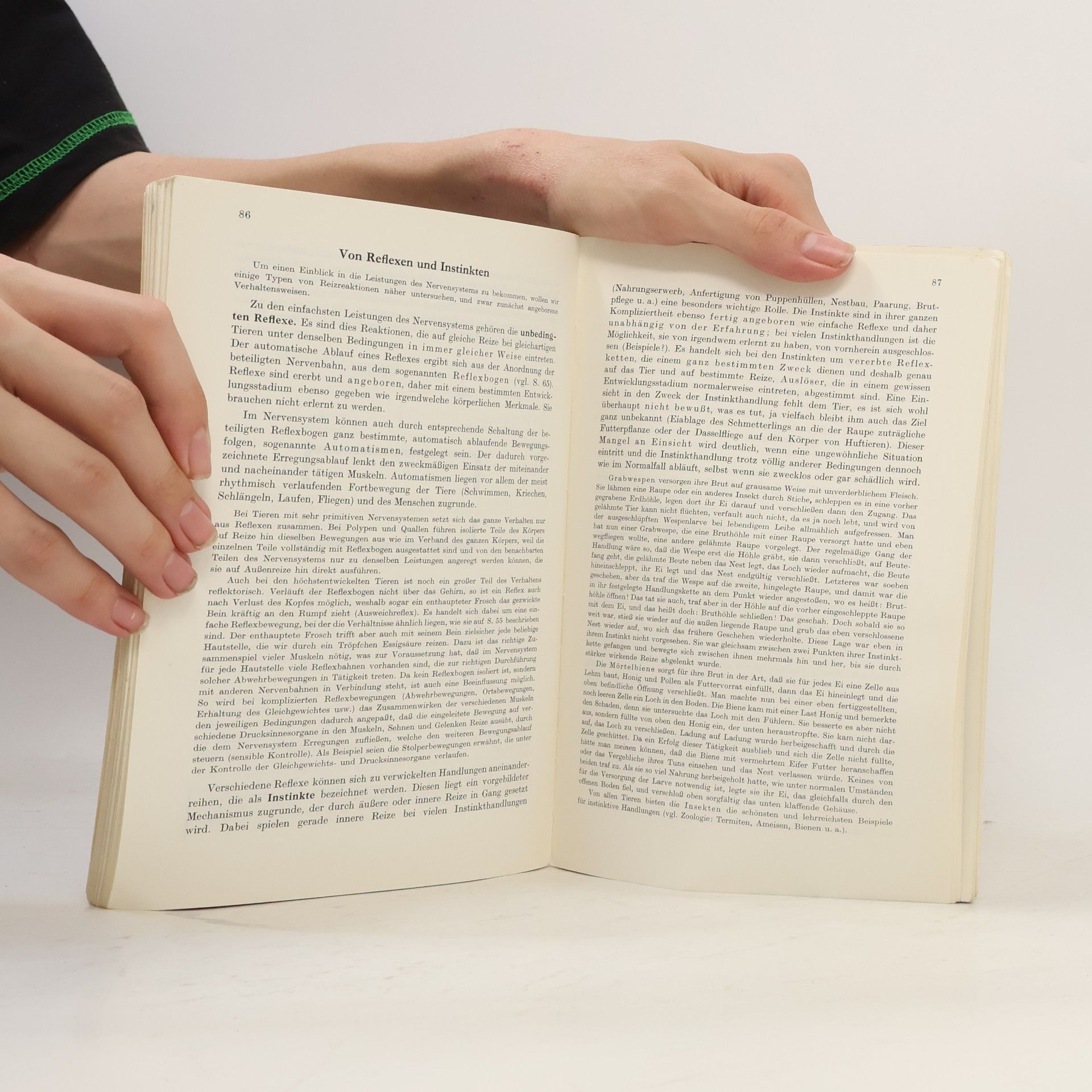Alfred Nikl Grundzüge der Zoologie und Somatologie 2.Band