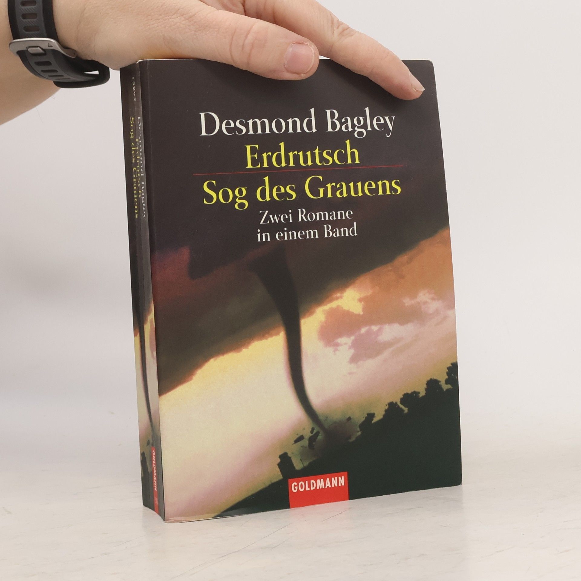 Desmond Bagley Erdrutsch
