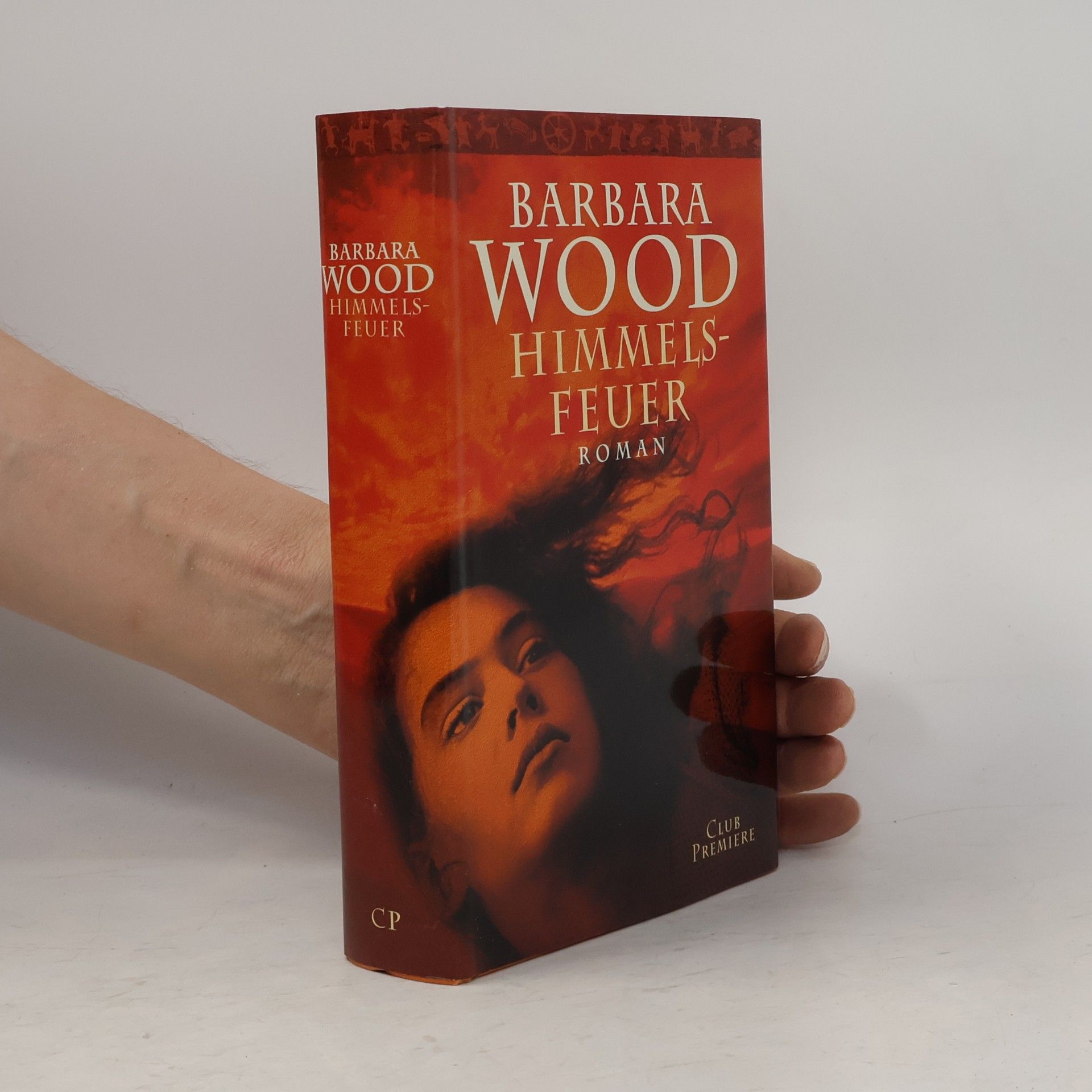 Barbara Wood Himmelsfeuer