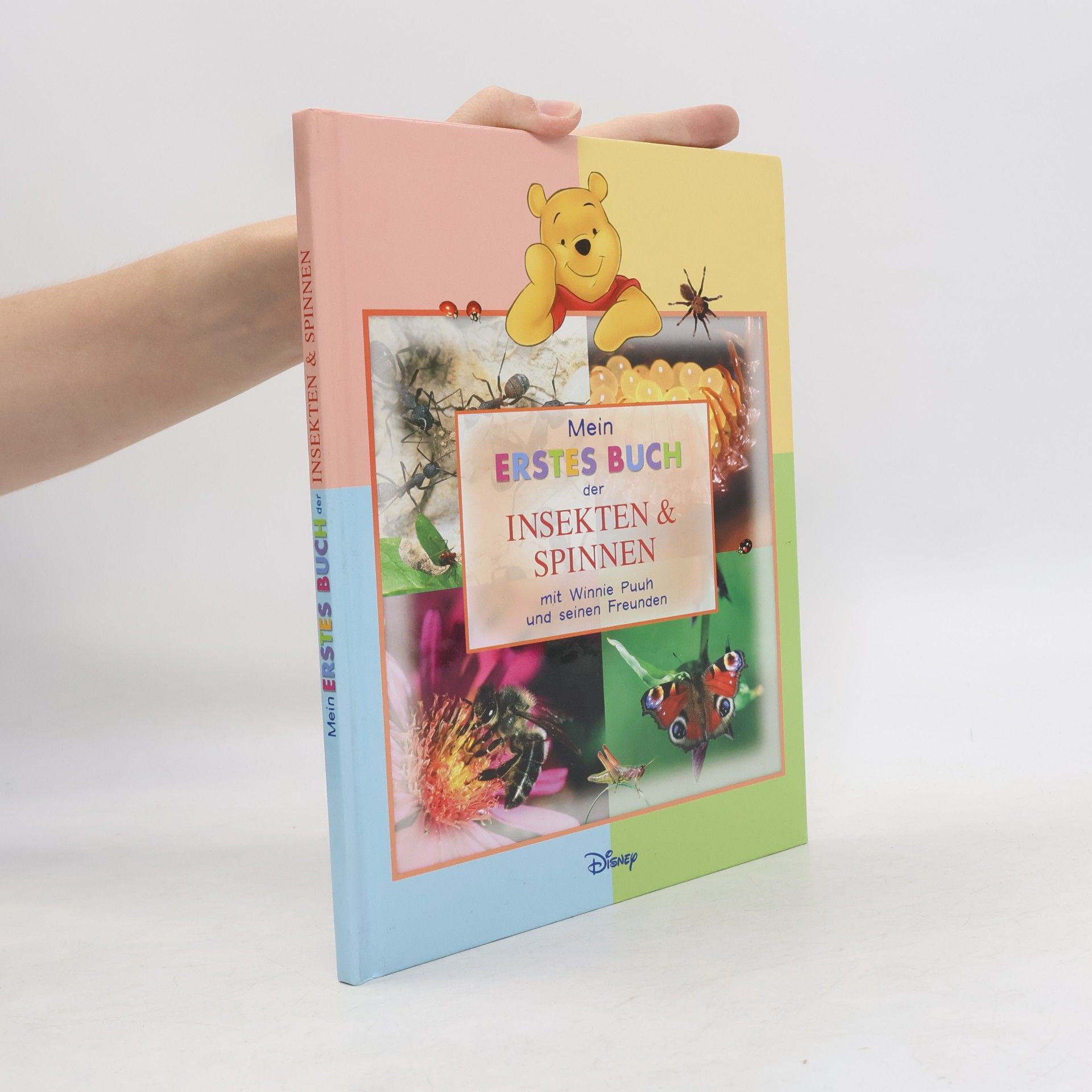 Autorenkollektiv Mein Erstes Buch der Insekten und Spinnen