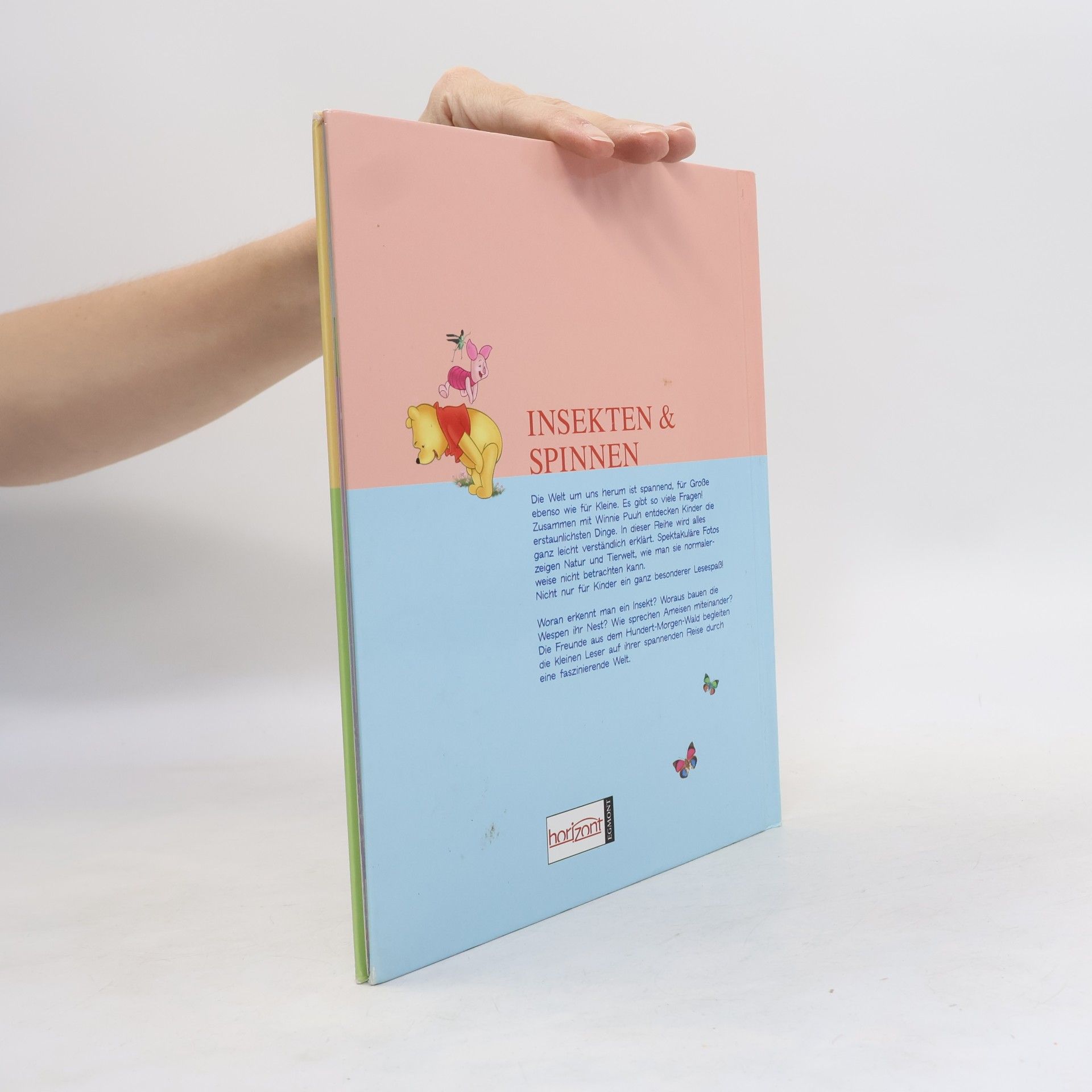 Autorenkollektiv Mein Erstes Buch der Insekten und Spinnen