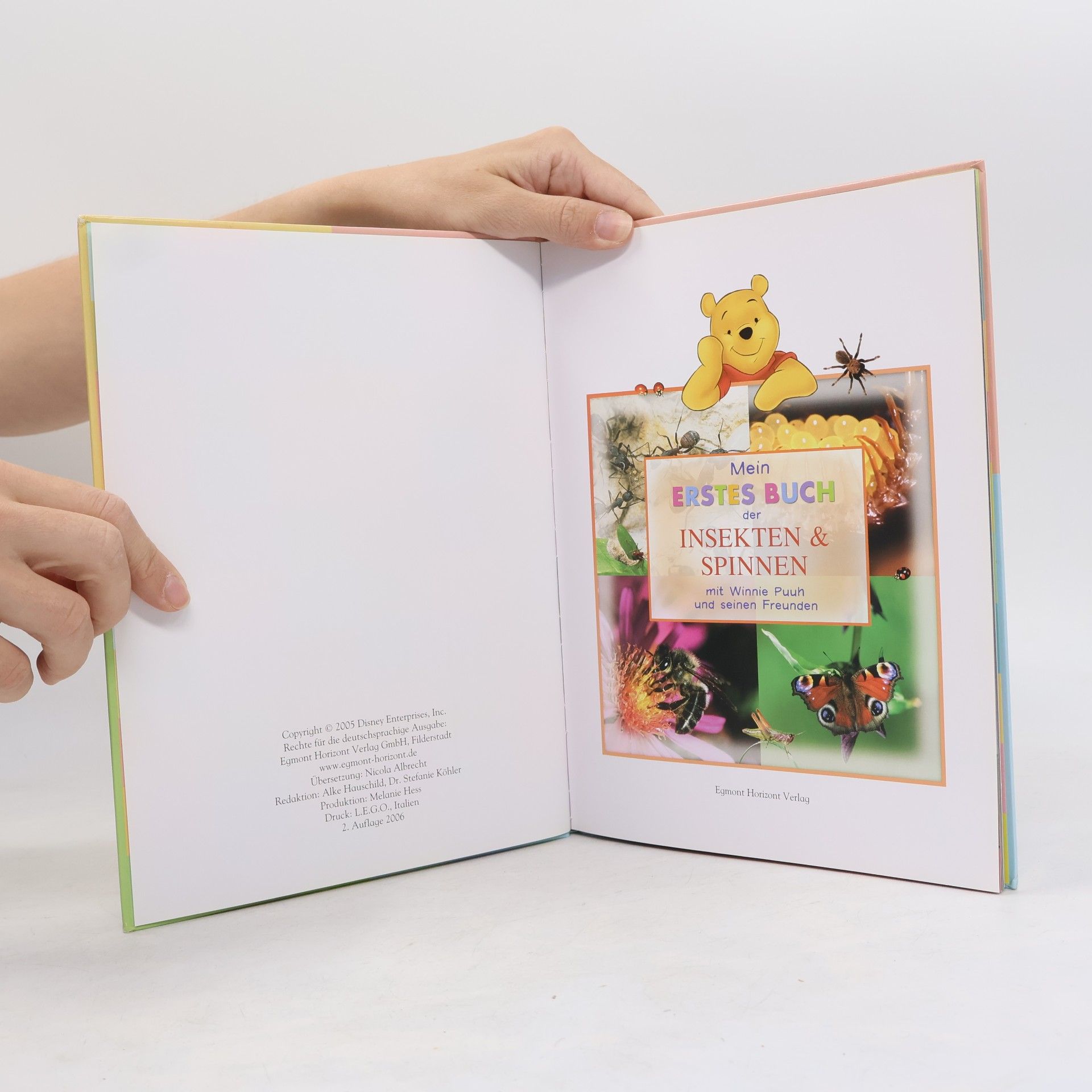 Autorenkollektiv Mein Erstes Buch der Insekten und Spinnen