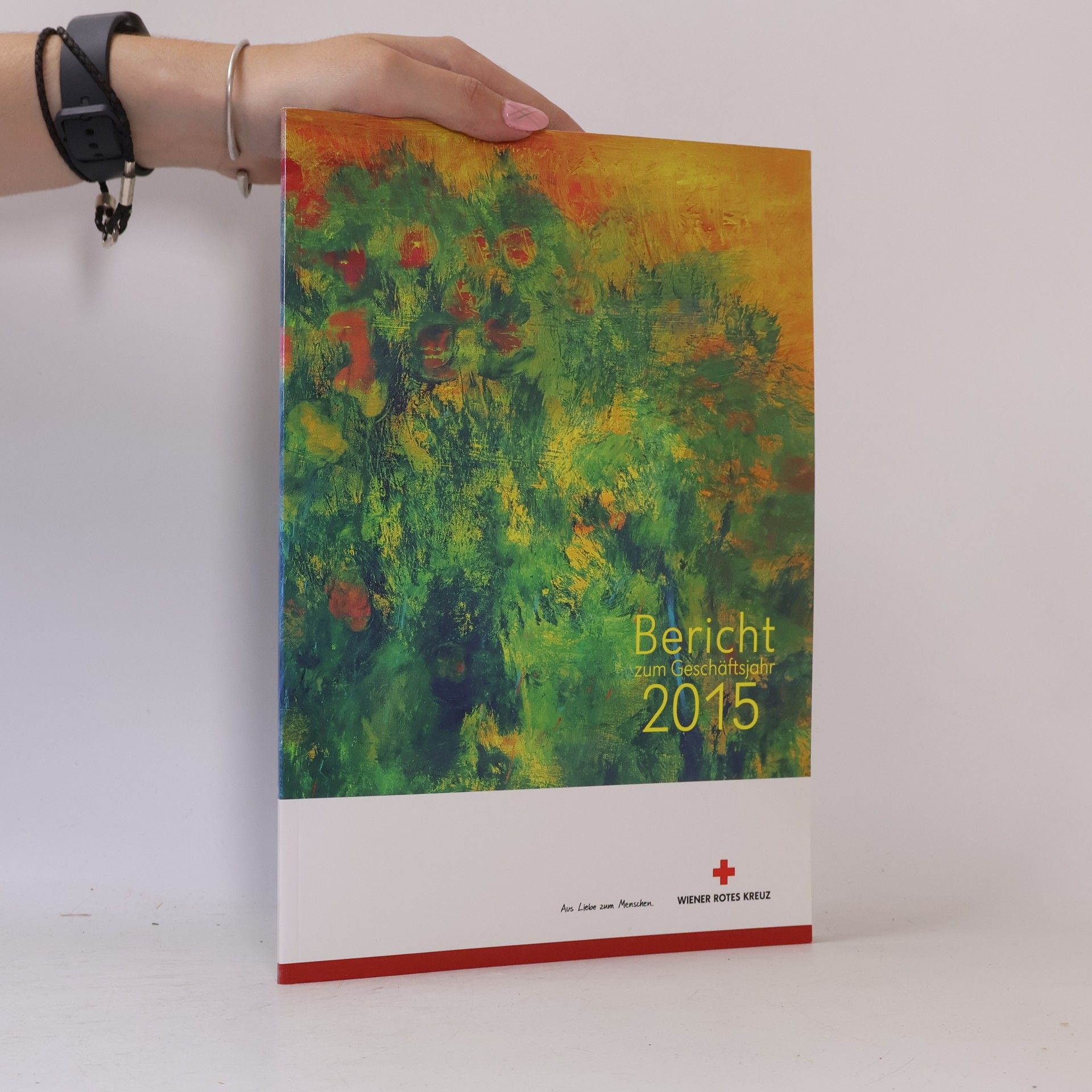 kolektiv Bericht zum Geschäftsjahr 2015