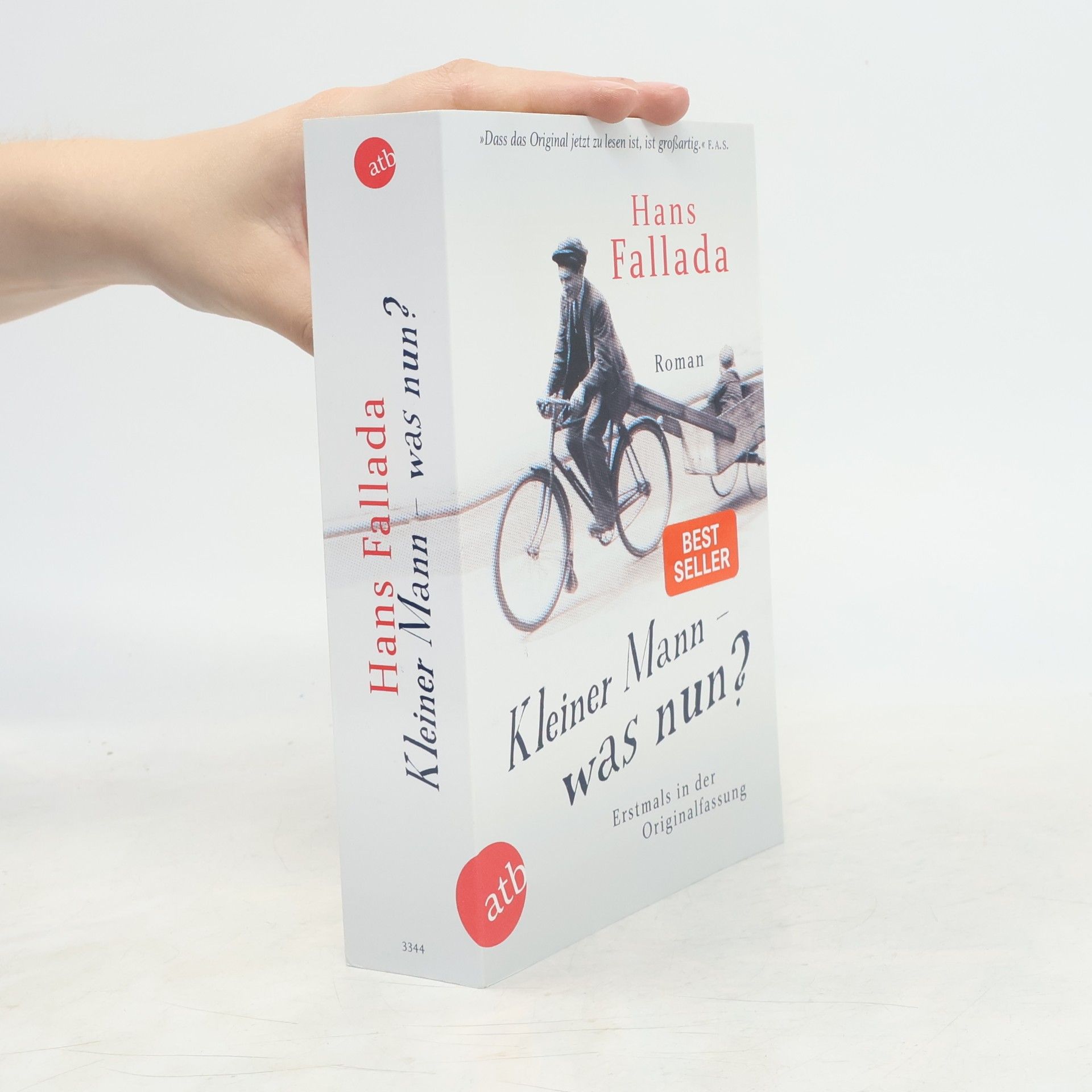 Hans Fallada Kleiner Mann - was nun?