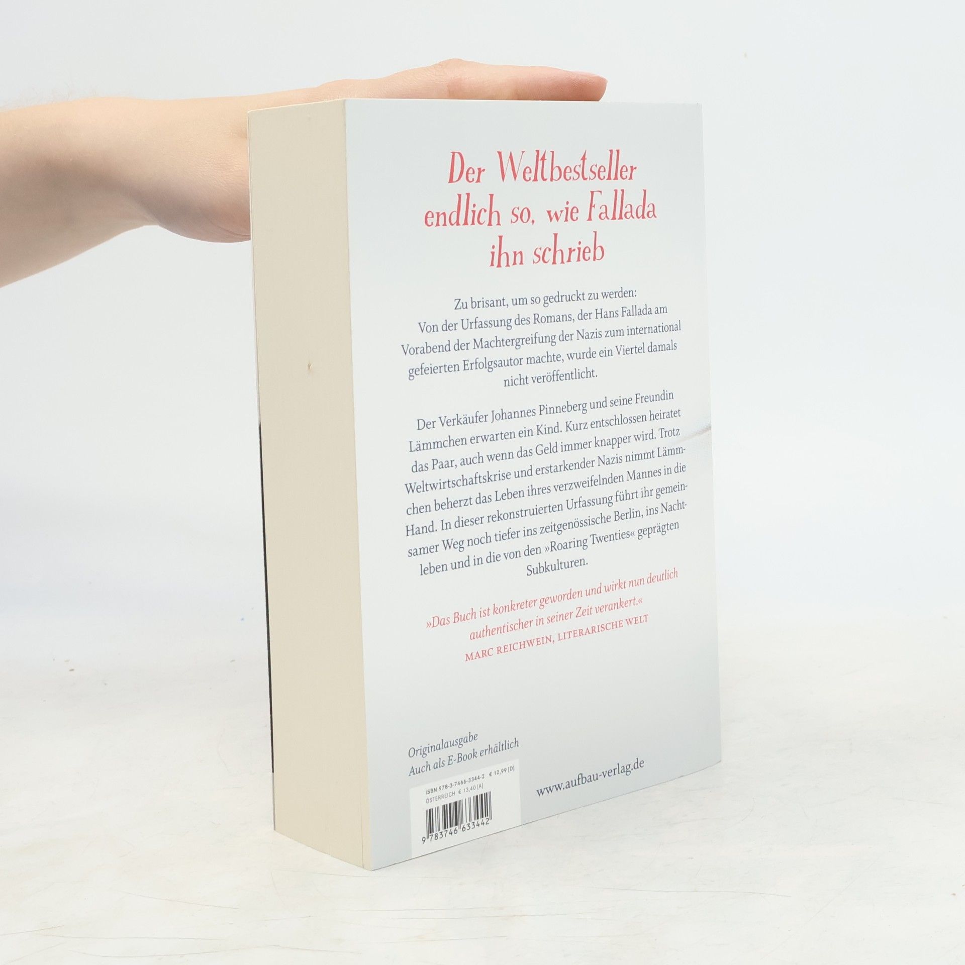 Hans Fallada Kleiner Mann - was nun?