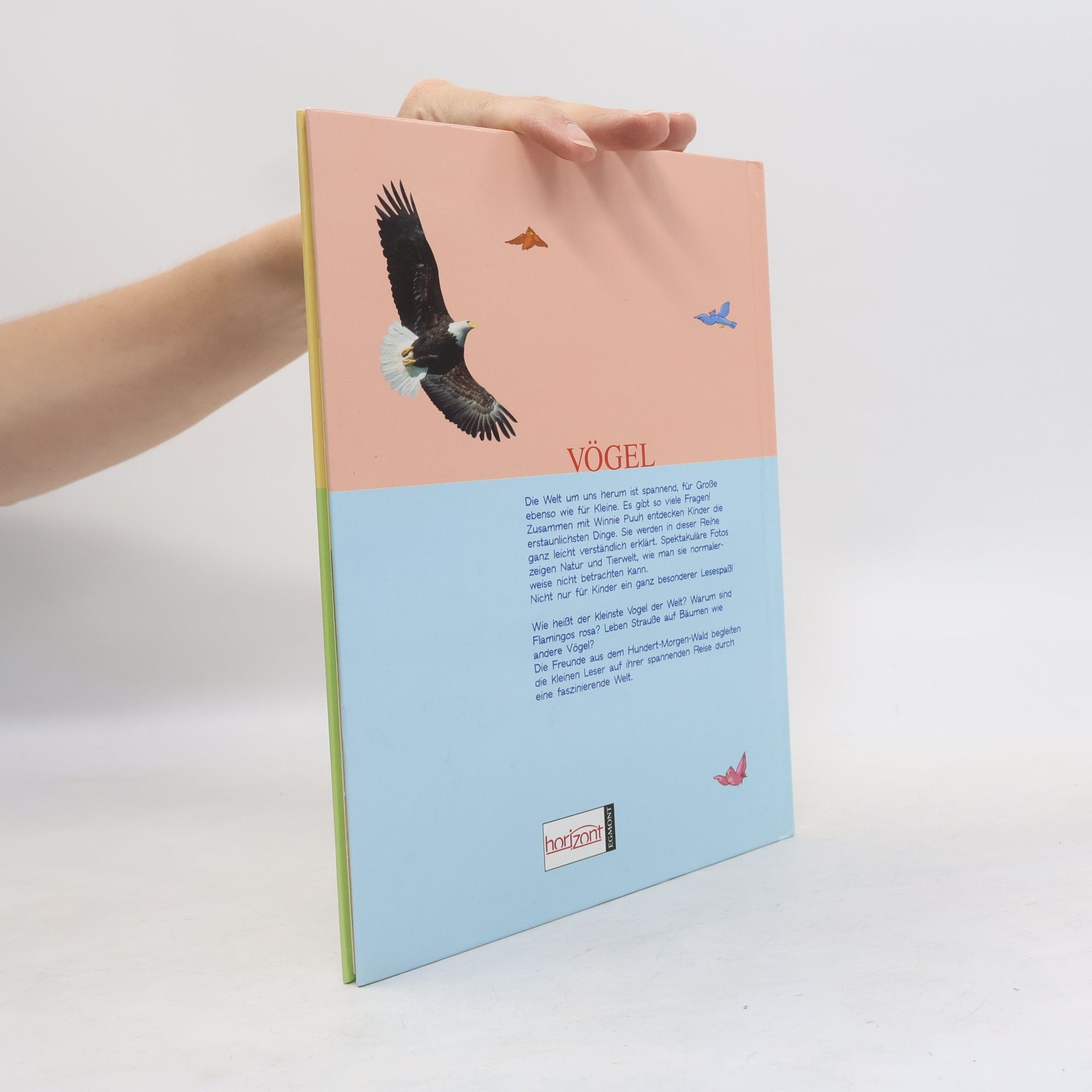 Various authors Mein Erstes Buch der Meerestiere. Mit Winnie Puuh und seinen Freunden