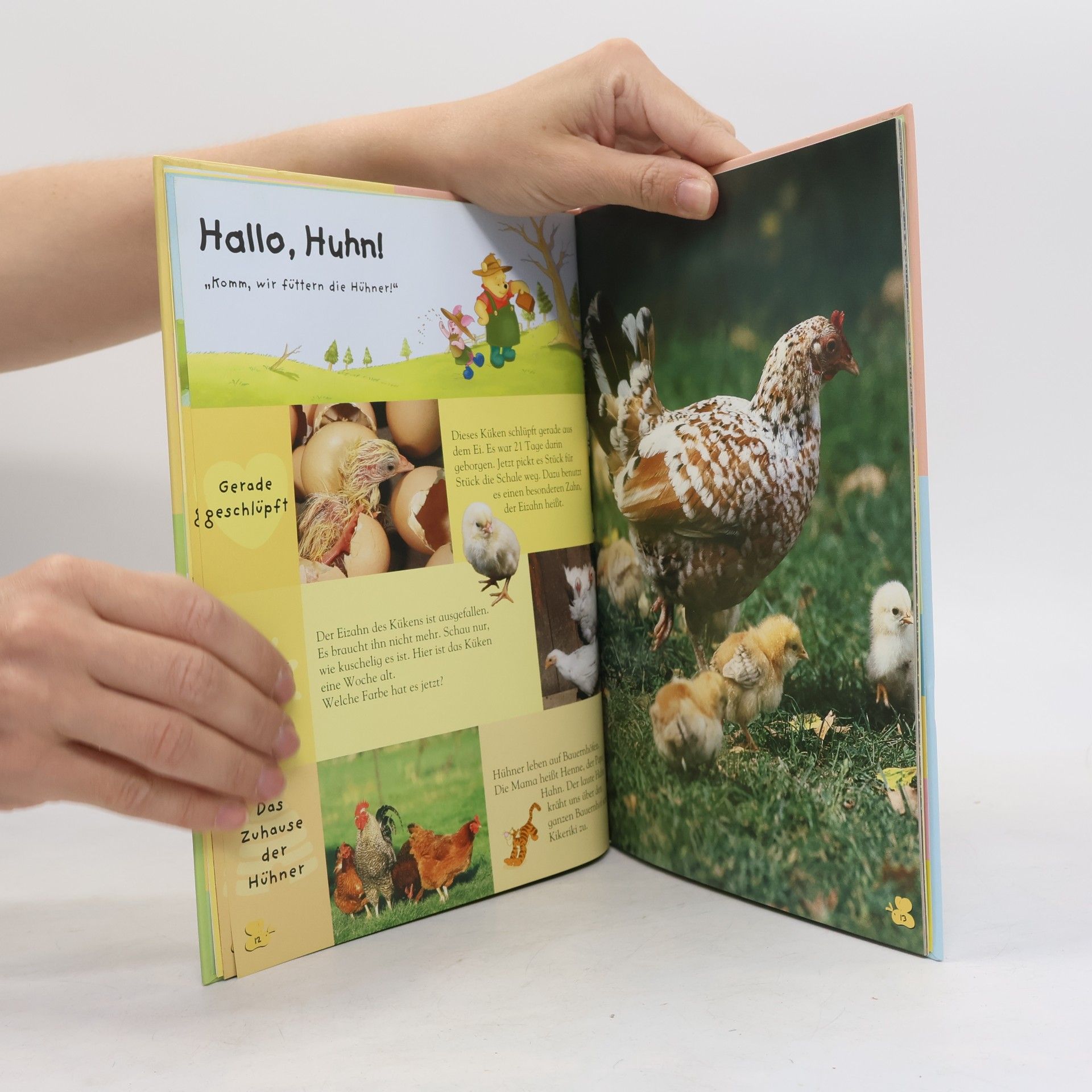 Various authors Mein Erstes Buch der Meerestiere. Mit Winnie Puuh und seinen Freunden