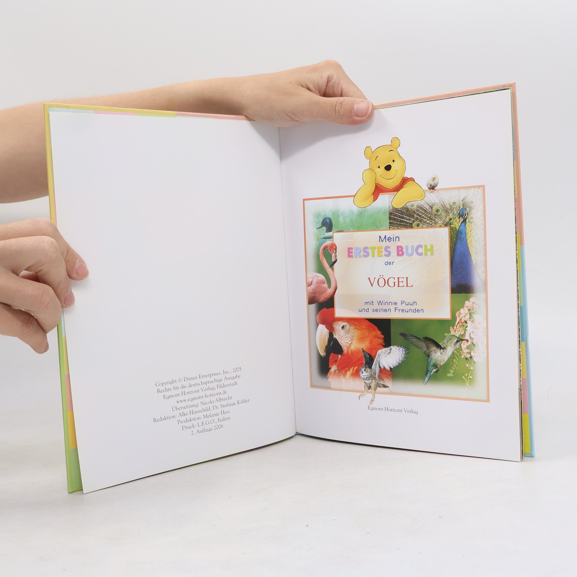 Various authors Mein Erstes Buch der Meerestiere. Mit Winnie Puuh und seinen Freunden