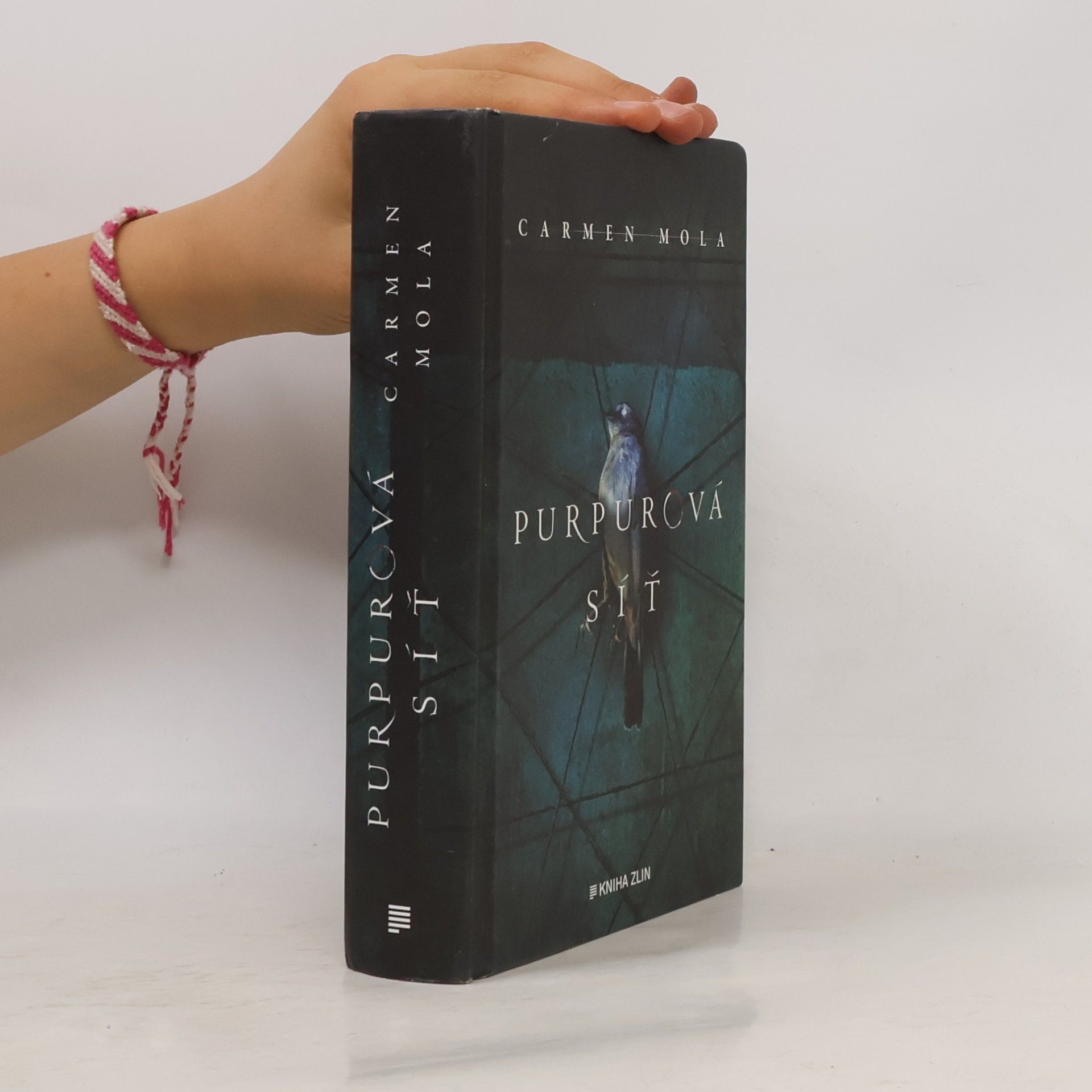 Carmen Mola Purpurová síť