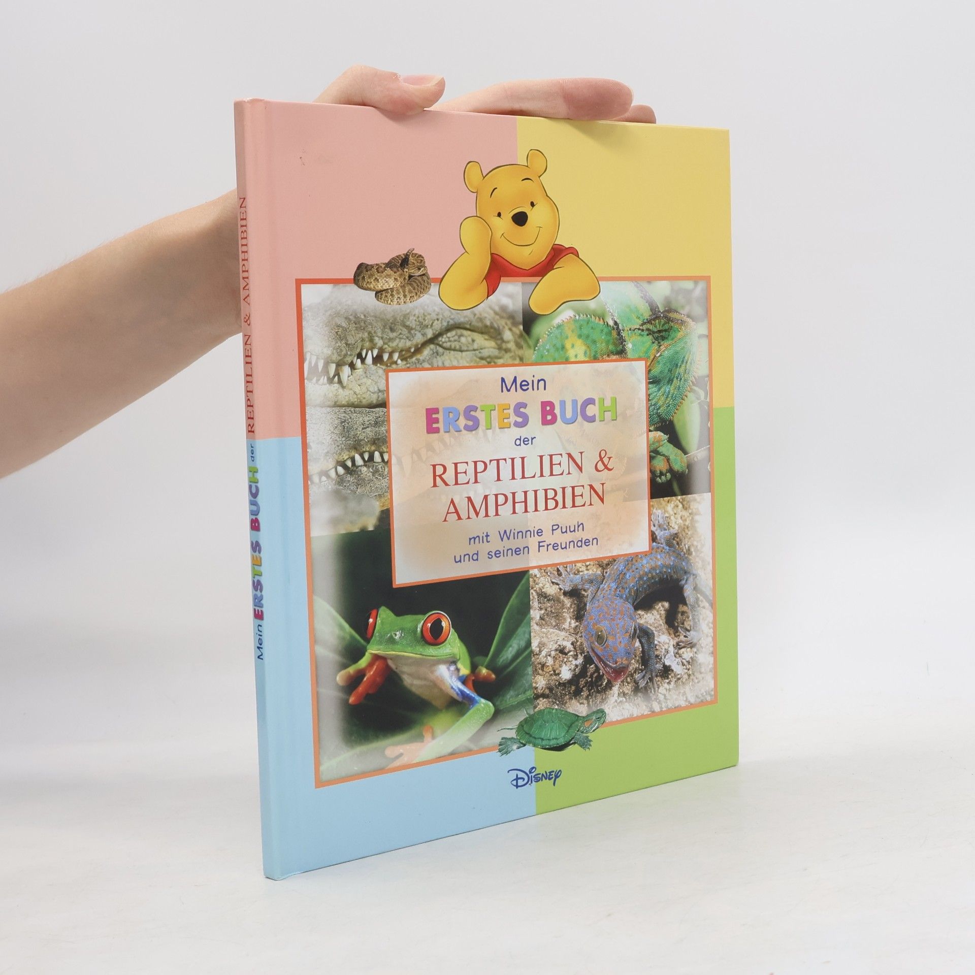 Autorenkollektiv Mein Erstes Buch der Meerestiere. Mit Winnie Puuh und seinen Freunden