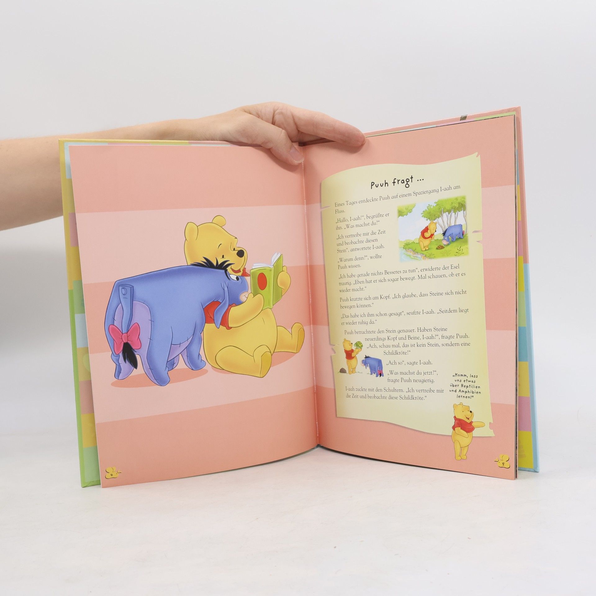 Autorenkollektiv Mein Erstes Buch der Meerestiere. Mit Winnie Puuh und seinen Freunden