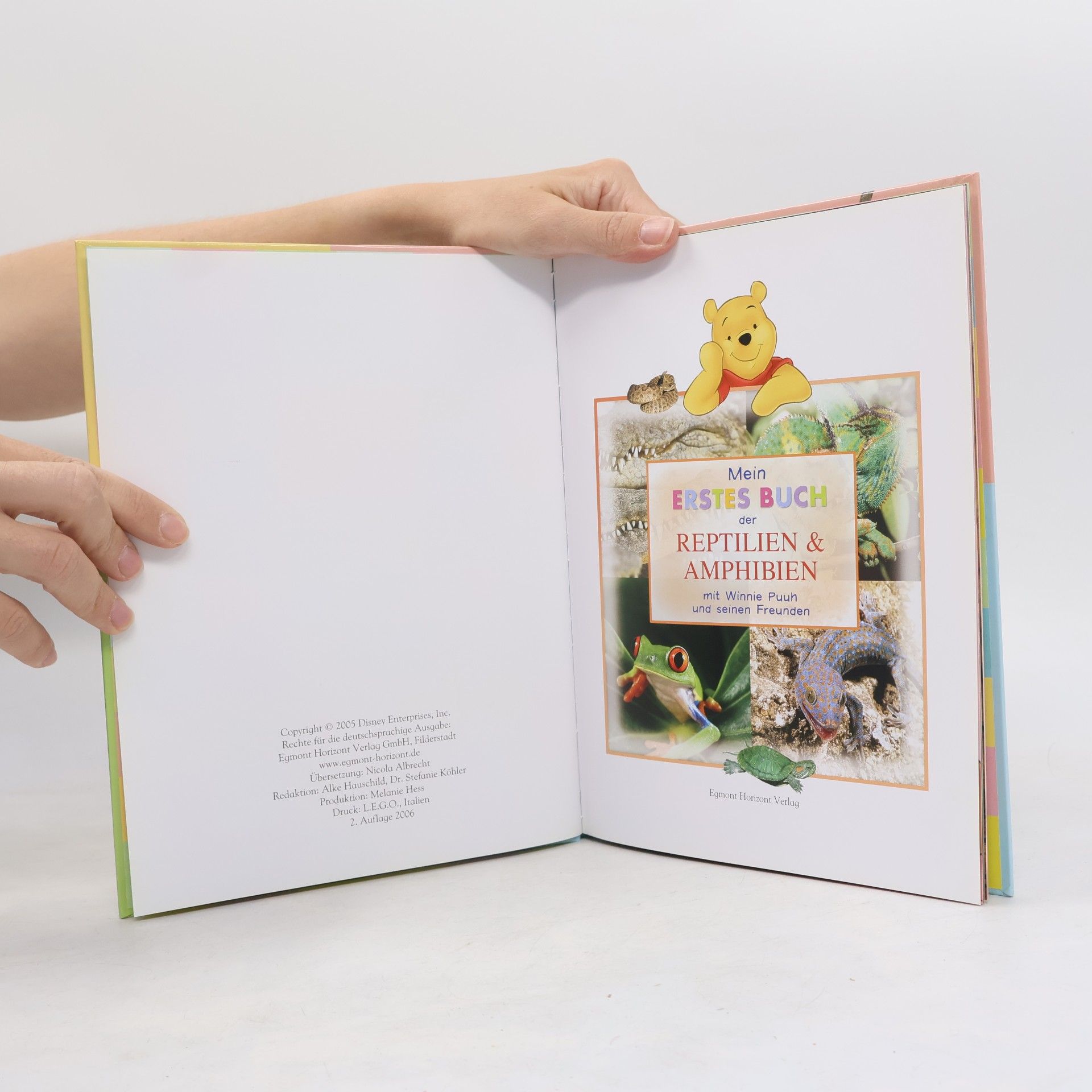 Autorenkollektiv Mein Erstes Buch der Meerestiere. Mit Winnie Puuh und seinen Freunden