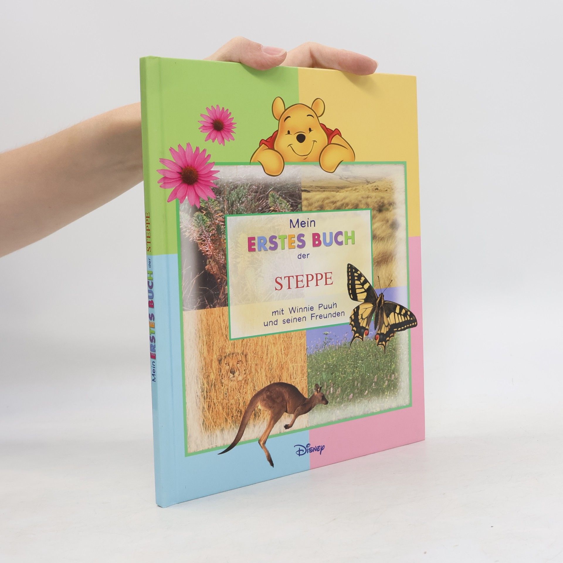 Autorenkollektiv Mein Erstes Buch der Meerestiere. Mit Winnie Puuh und seinen Freunden