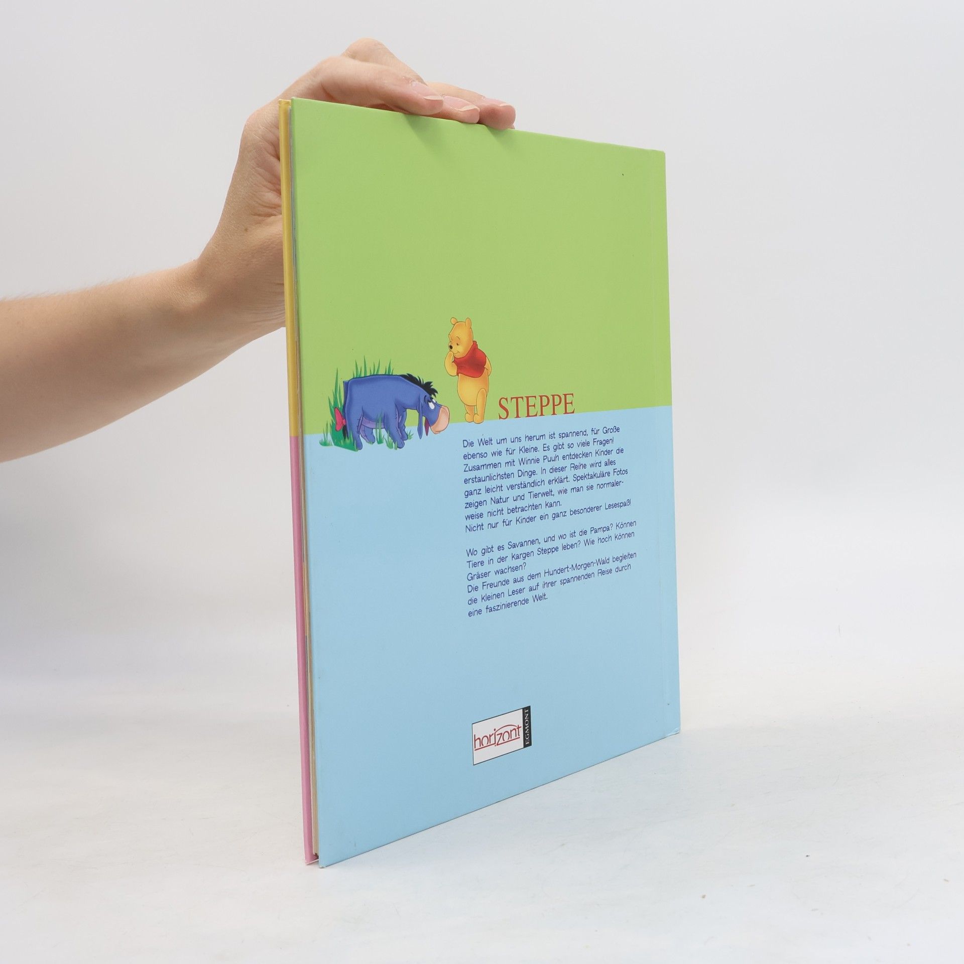 Various authors Mein Erstes Buch der Meerestiere. Mit Winnie Puuh und seinen Freunden