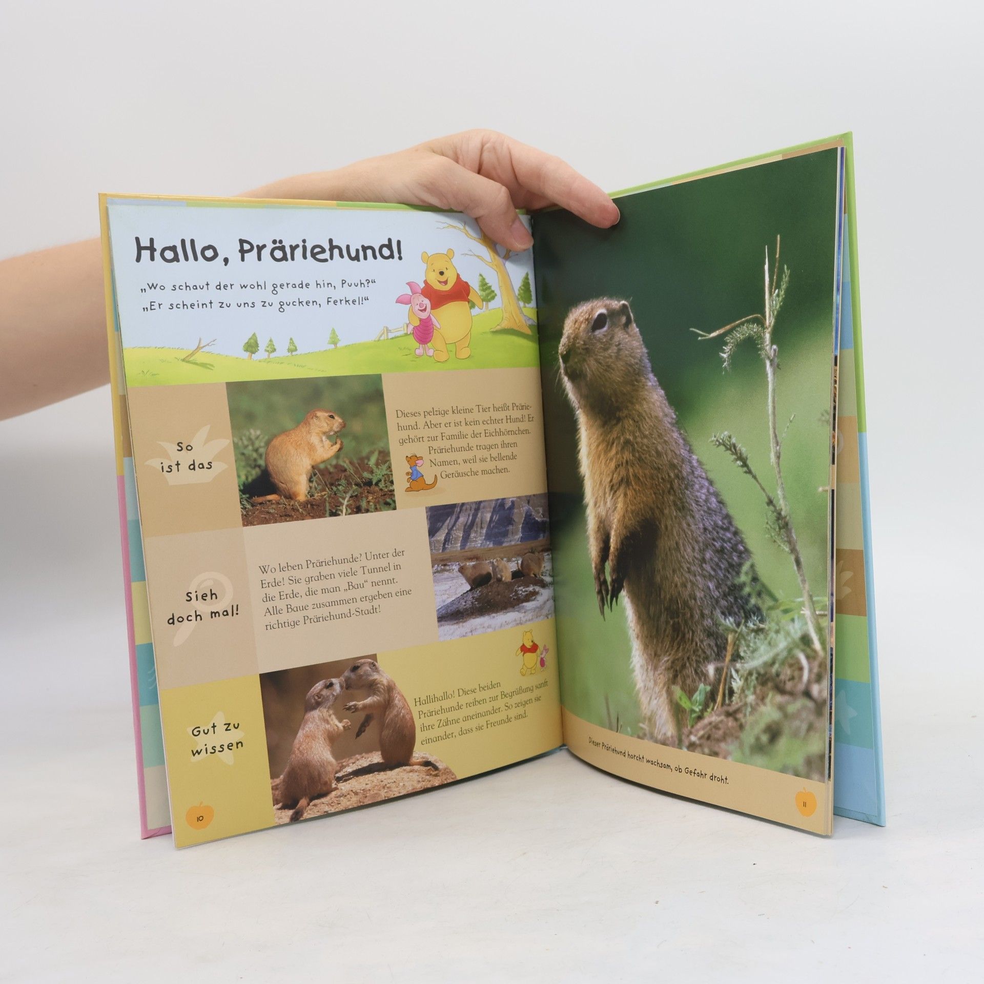 Various authors Mein Erstes Buch der Meerestiere. Mit Winnie Puuh und seinen Freunden