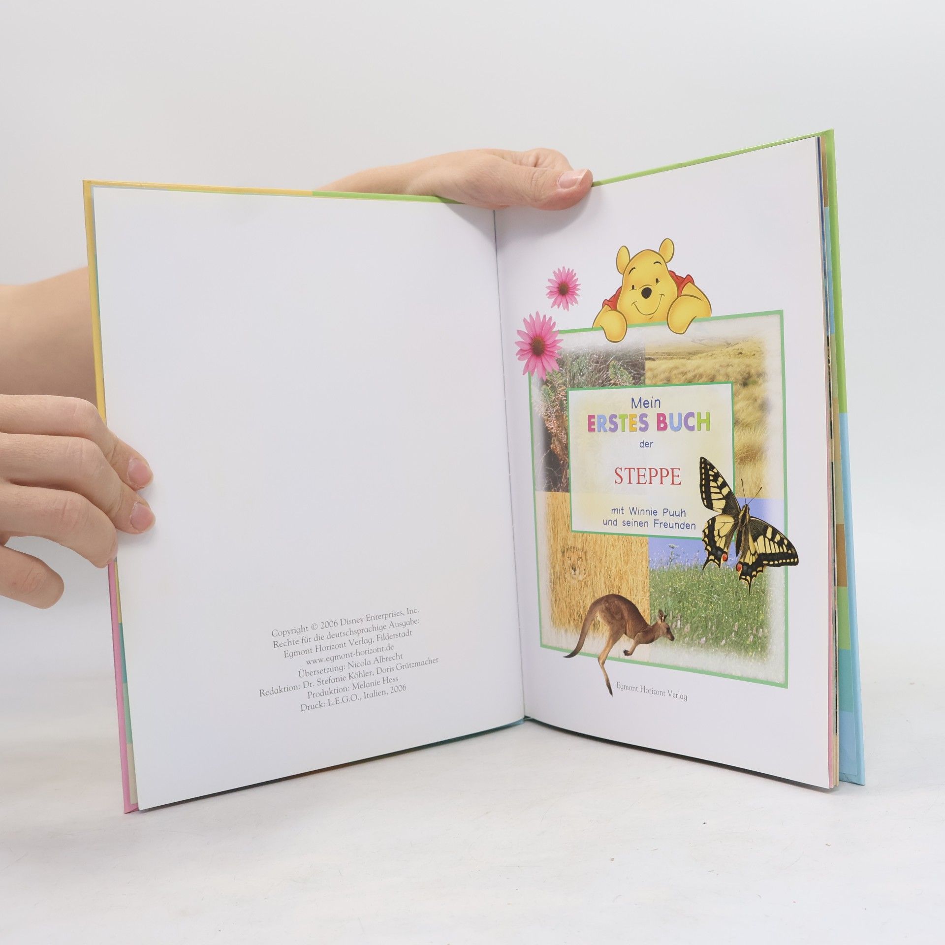 Various authors Mein Erstes Buch der Meerestiere. Mit Winnie Puuh und seinen Freunden