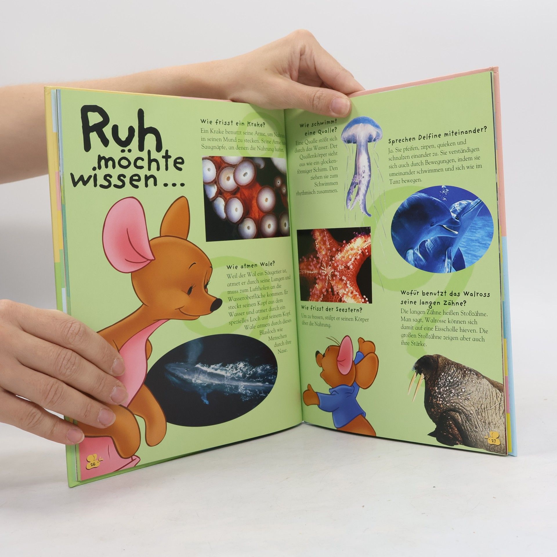 Autorenkollektiv Mein erstes Buch der Meerestiere