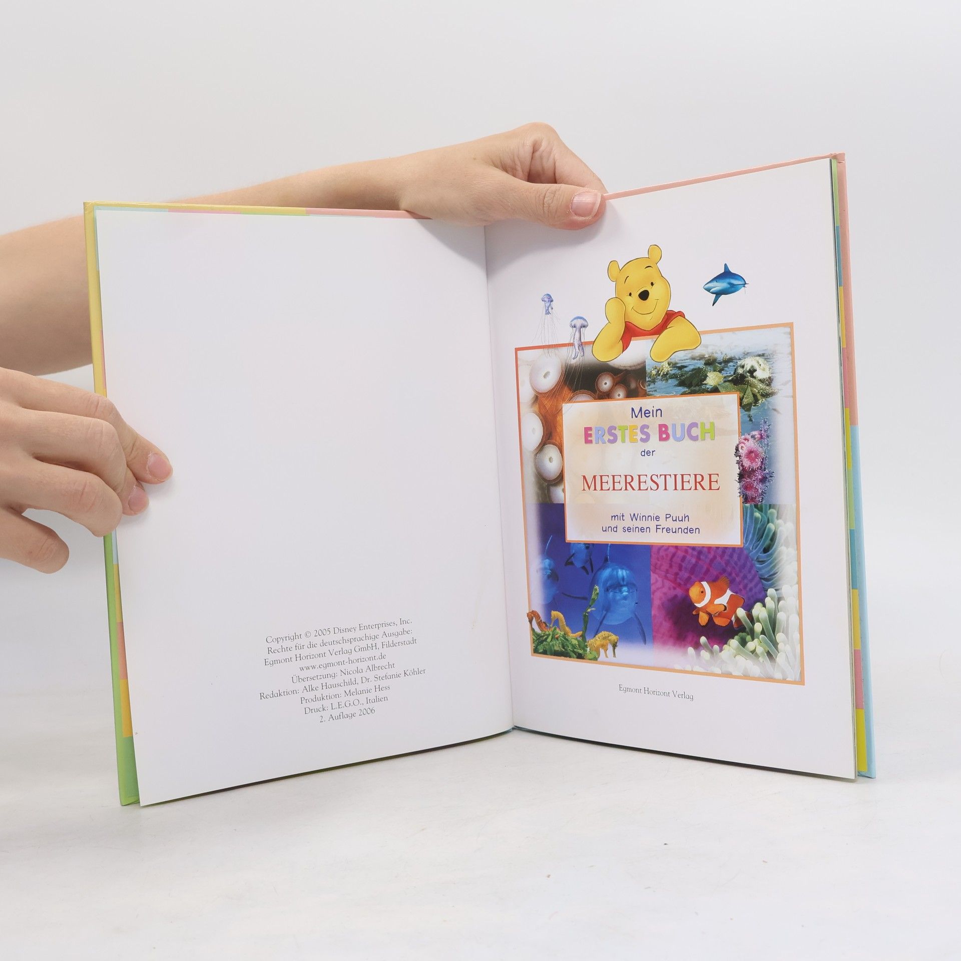 Autorenkollektiv Mein erstes Buch der Meerestiere