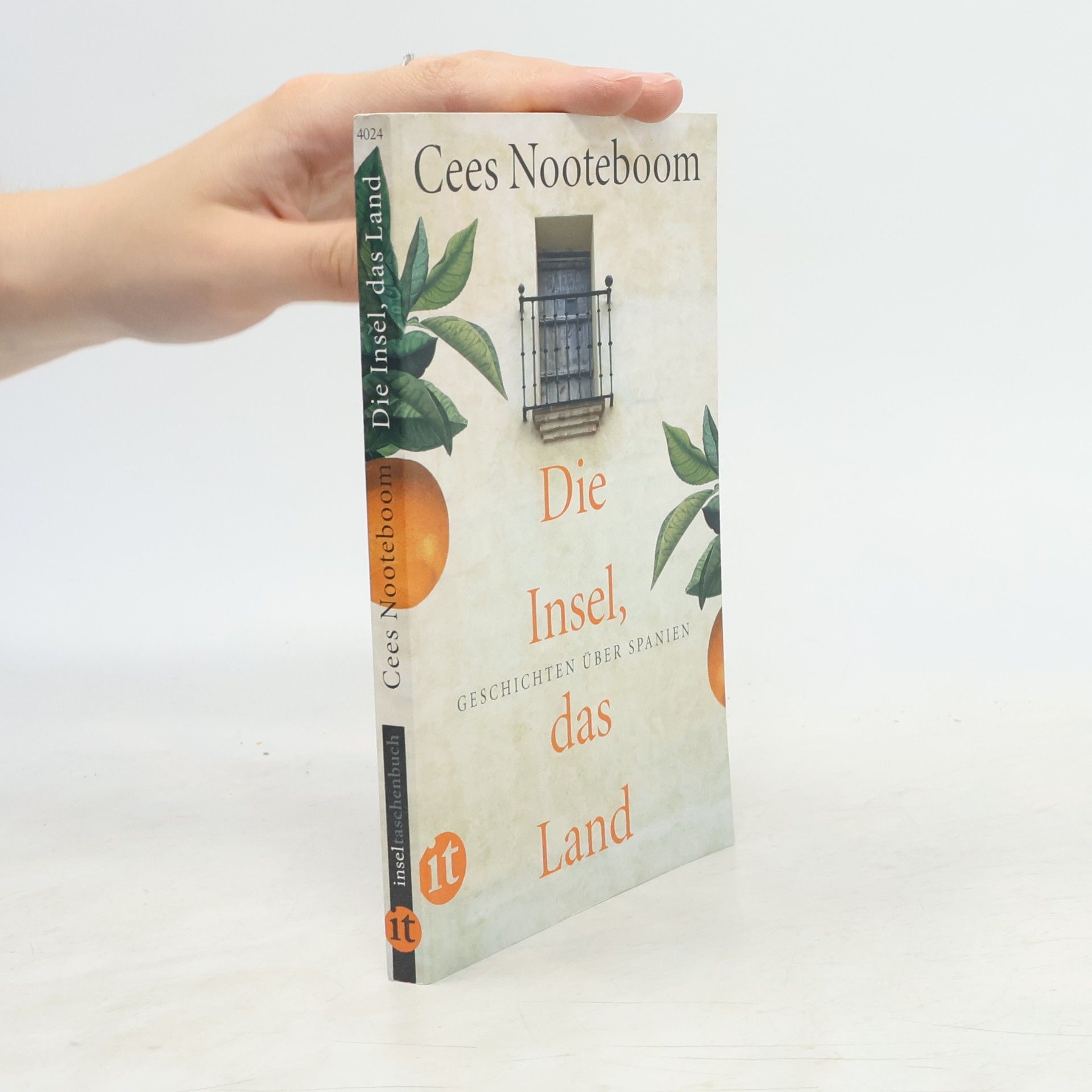 Cees Nooteboom Die Insel, das Land