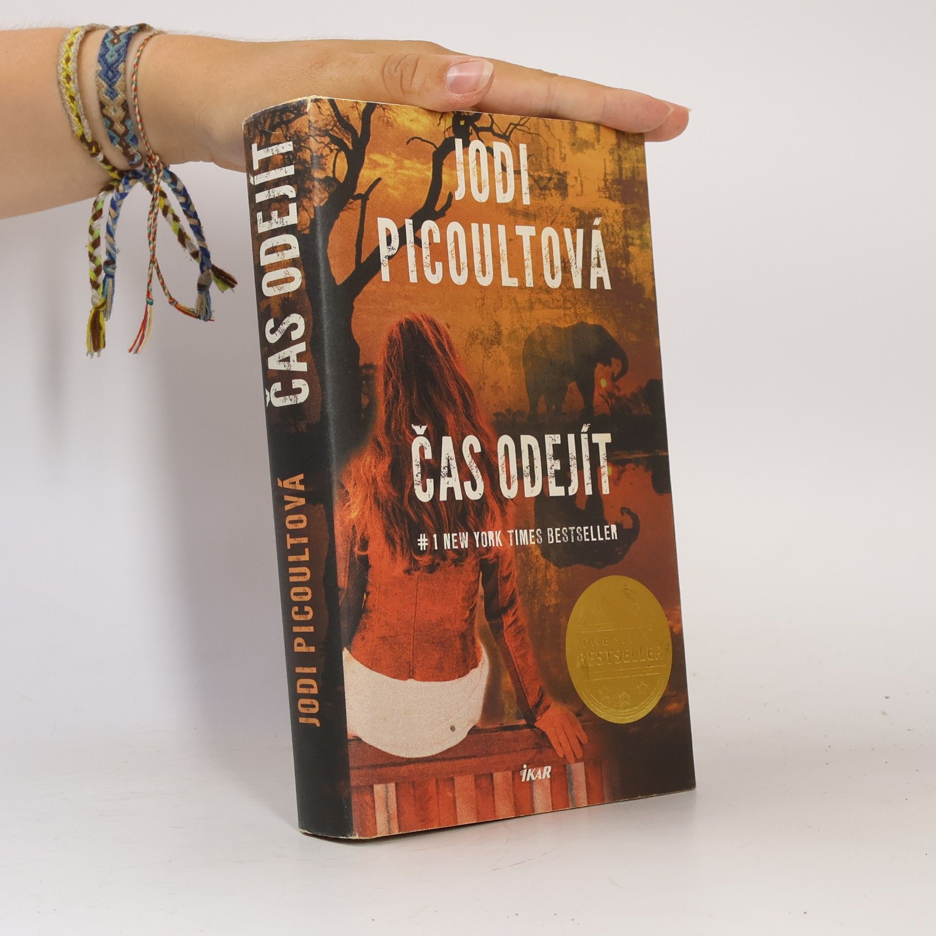 Jodi Picoult Čas odejít