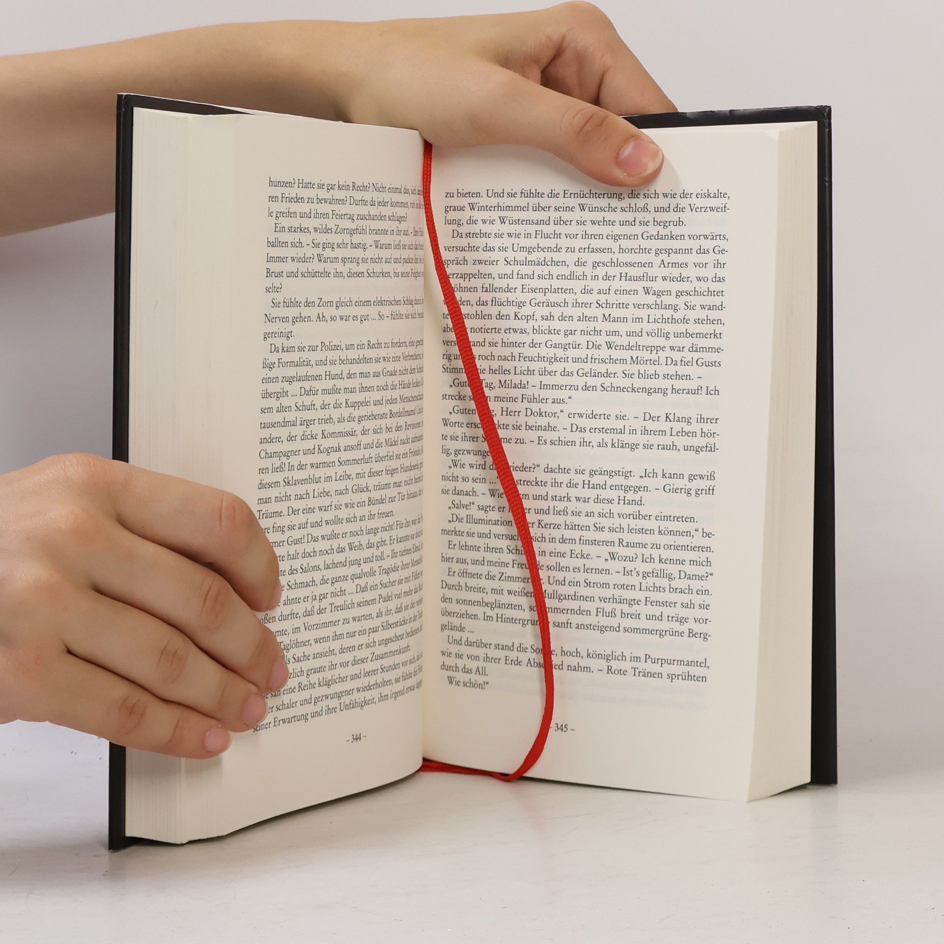 Else Jerusalem Der heilige Skarabäus